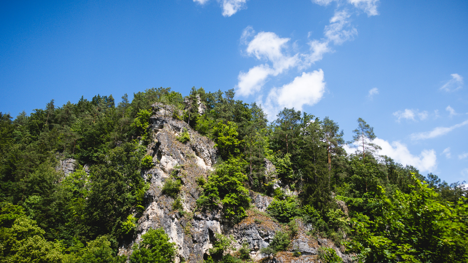 2023-07-02-Wiesent-Kayaking-1868