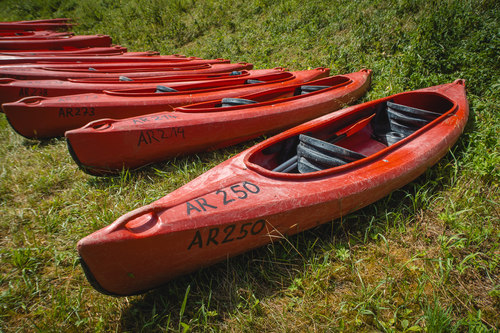 2023-07-02-Wiesent-Kayaking-1358