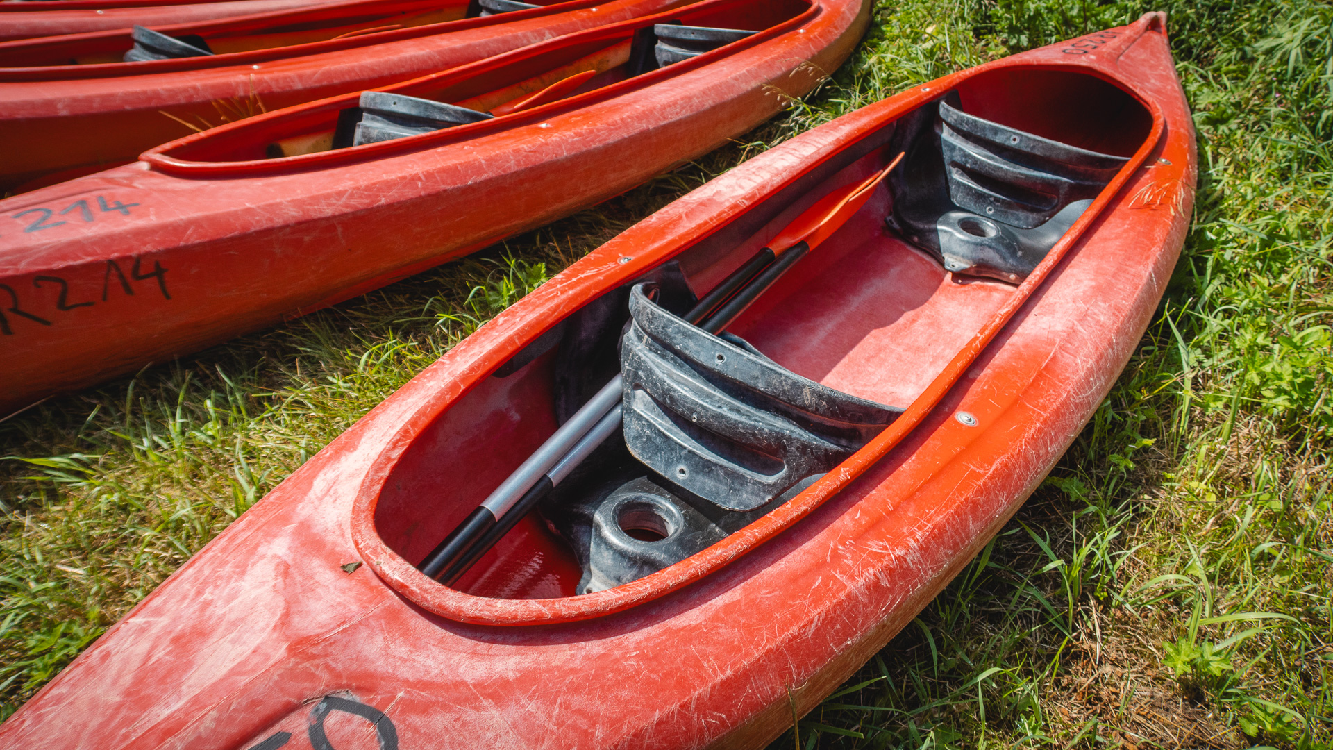 2023-07-02-Wiesent-Kayaking-1359