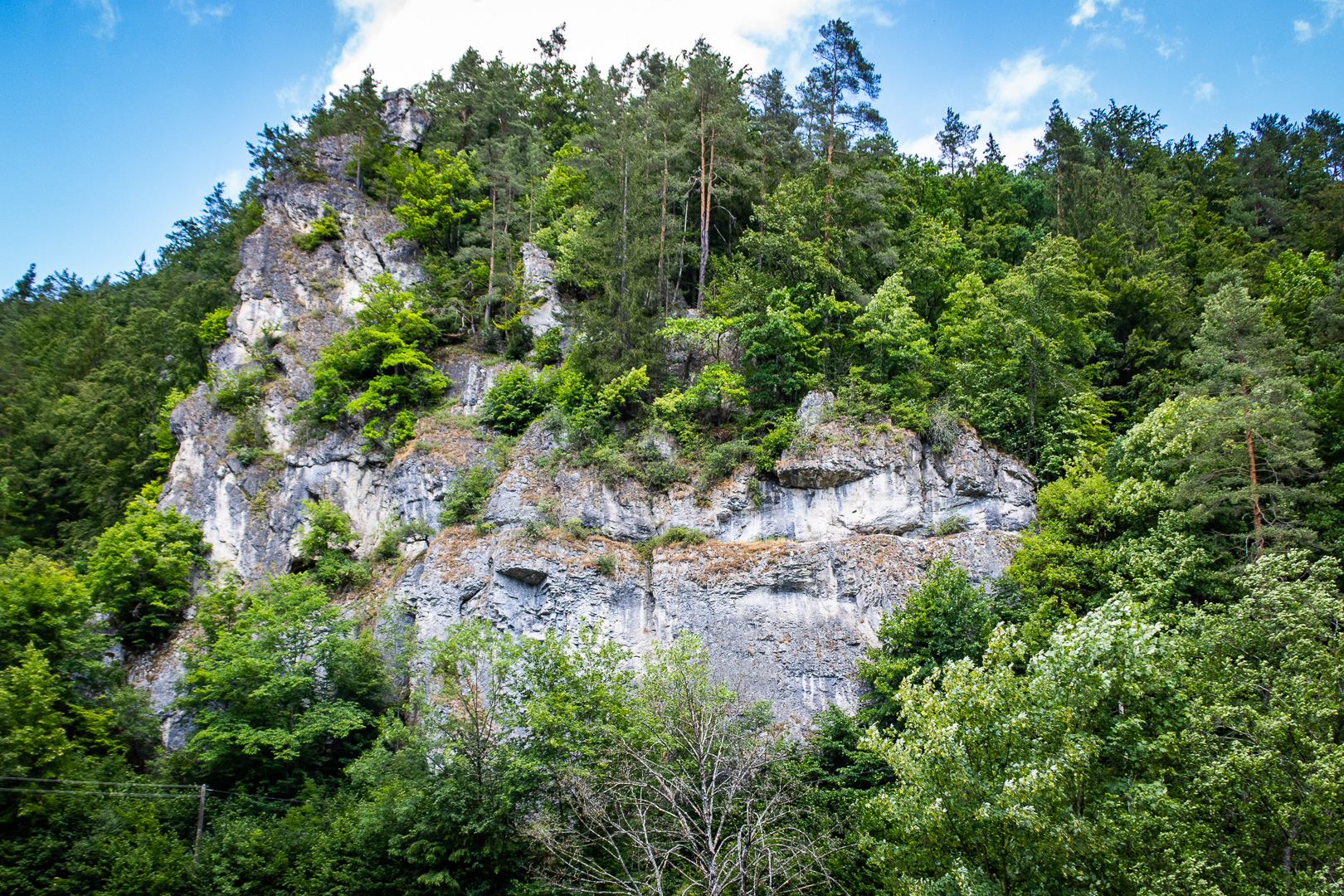 2023-07-02-Wiesent-Kayaking-1785