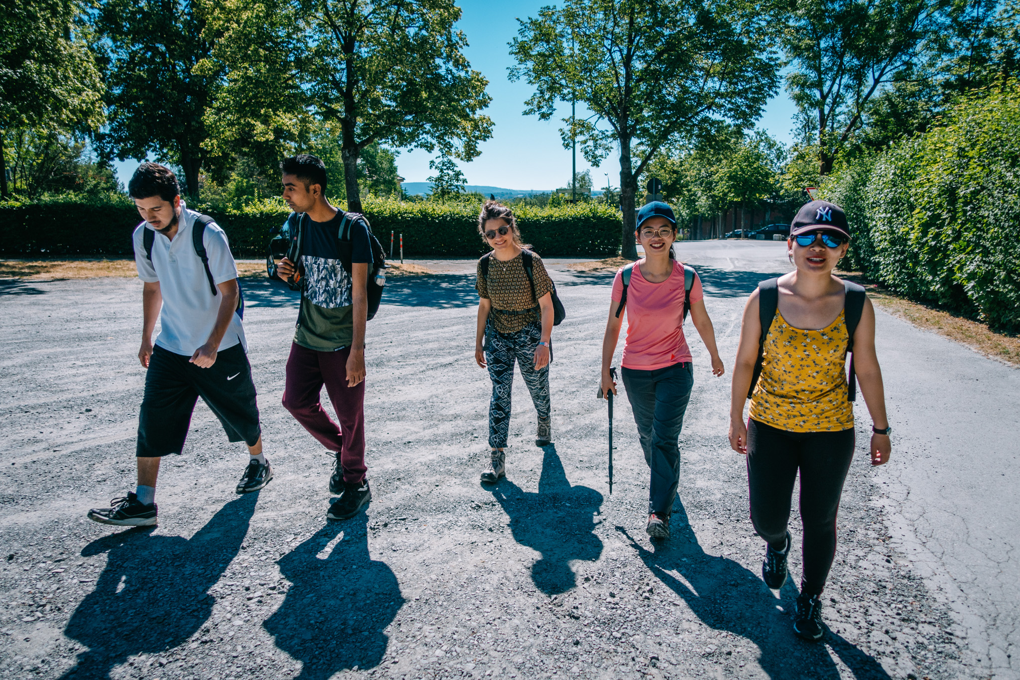 2019-06-30 Blueberry forest-0003