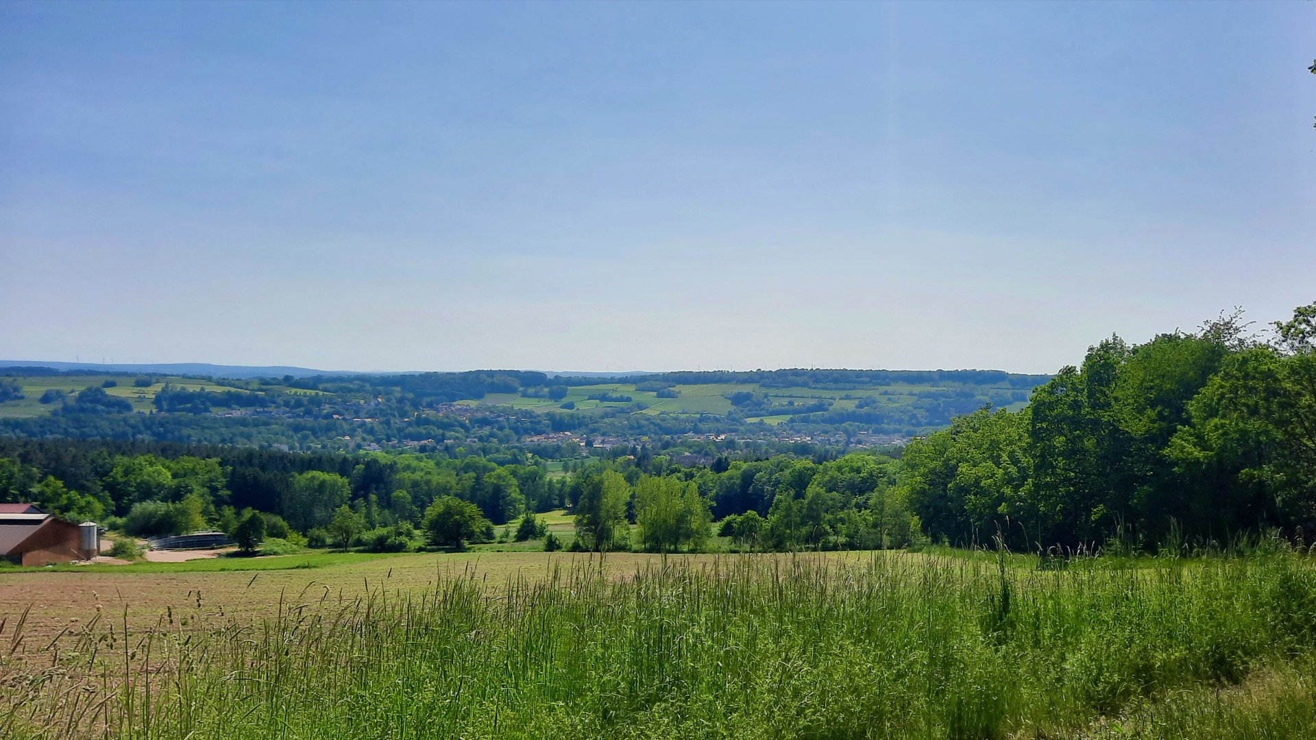 2023-05-27 Weidenberg Forest Exploration 154830