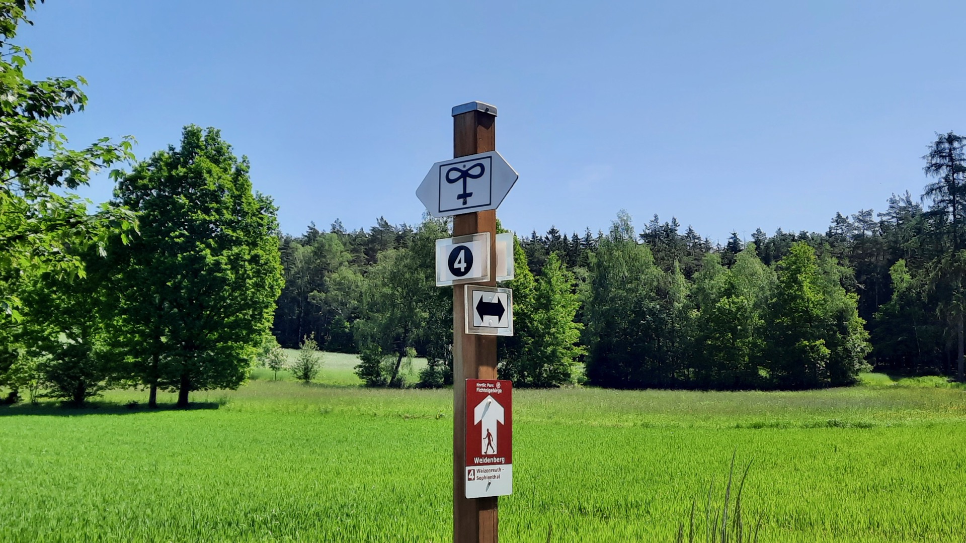 2023-05-27 Weidenberg Forest Exploration 114015