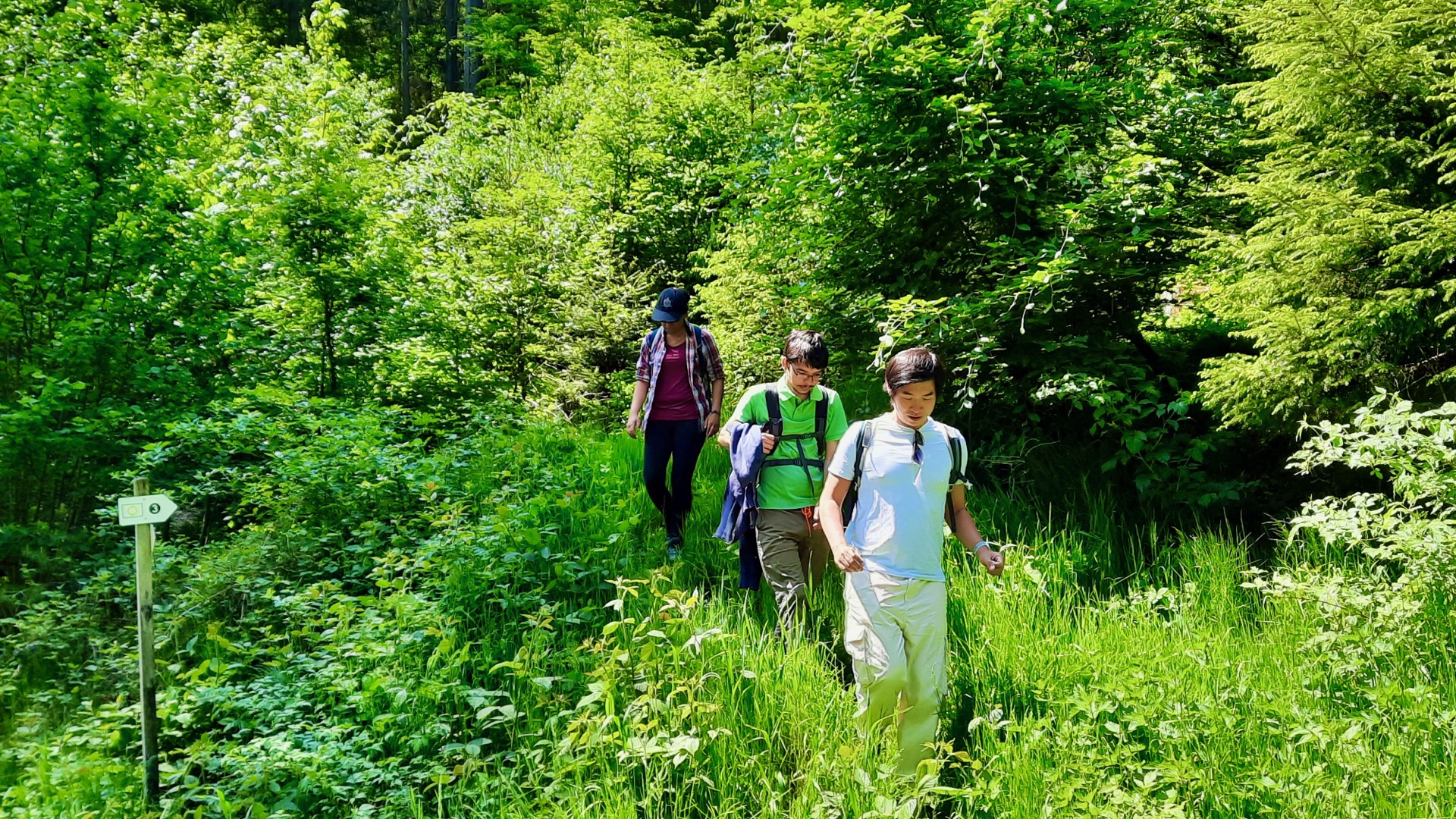 2023-05-27 Weidenberg Forest Exploration 124226