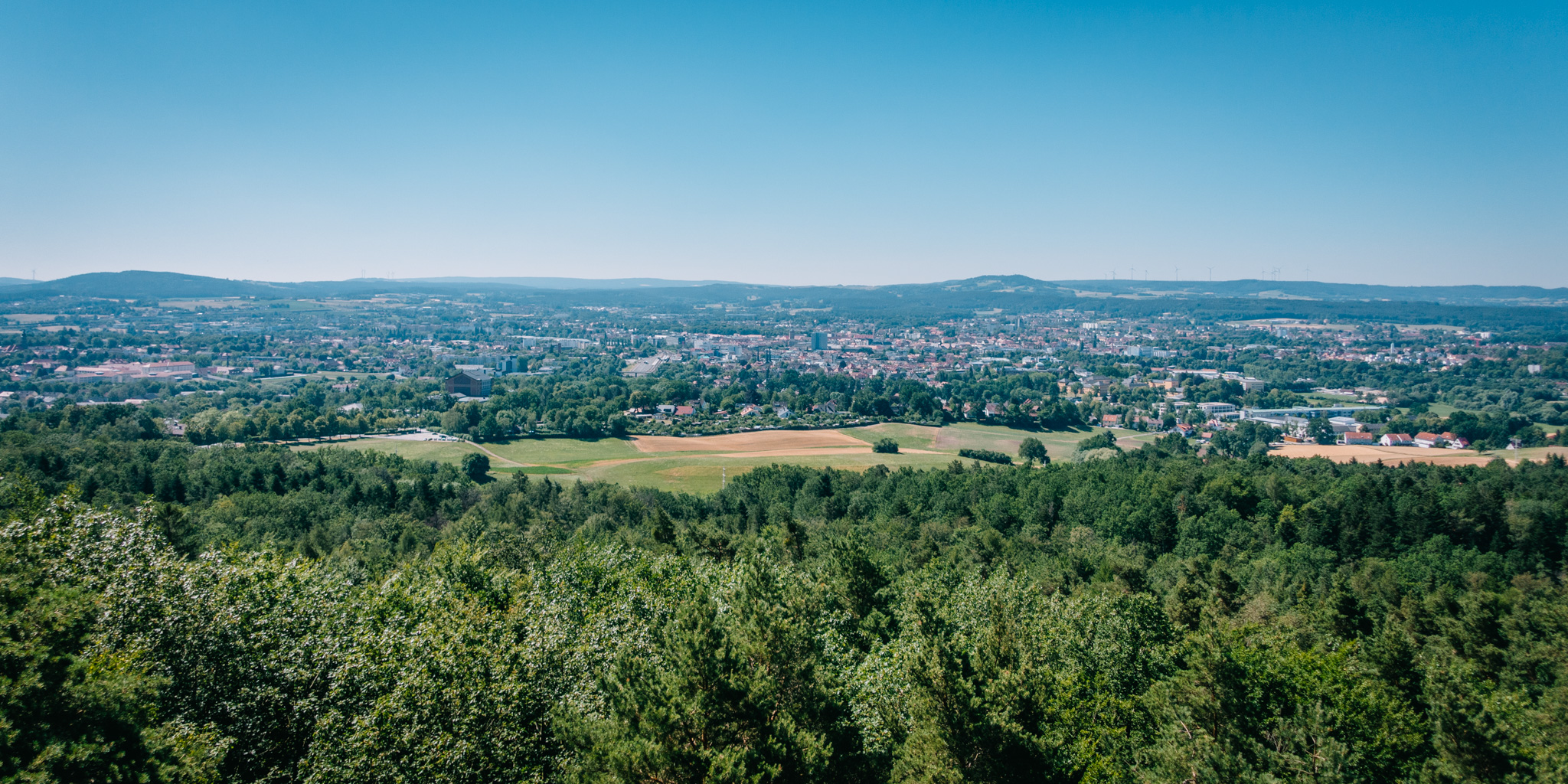 2019-06-30 Blueberry forest-0009