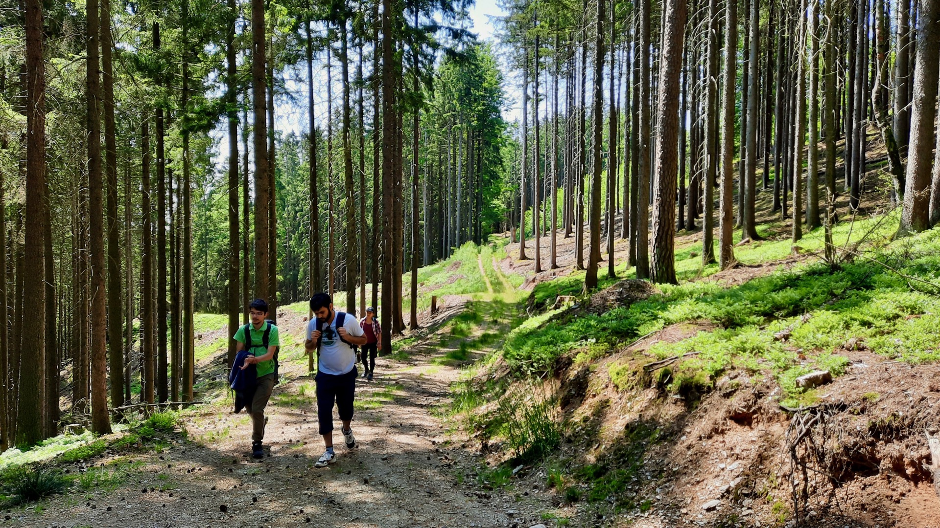 2023-05-27 Weidenberg Forest Exploration 121339