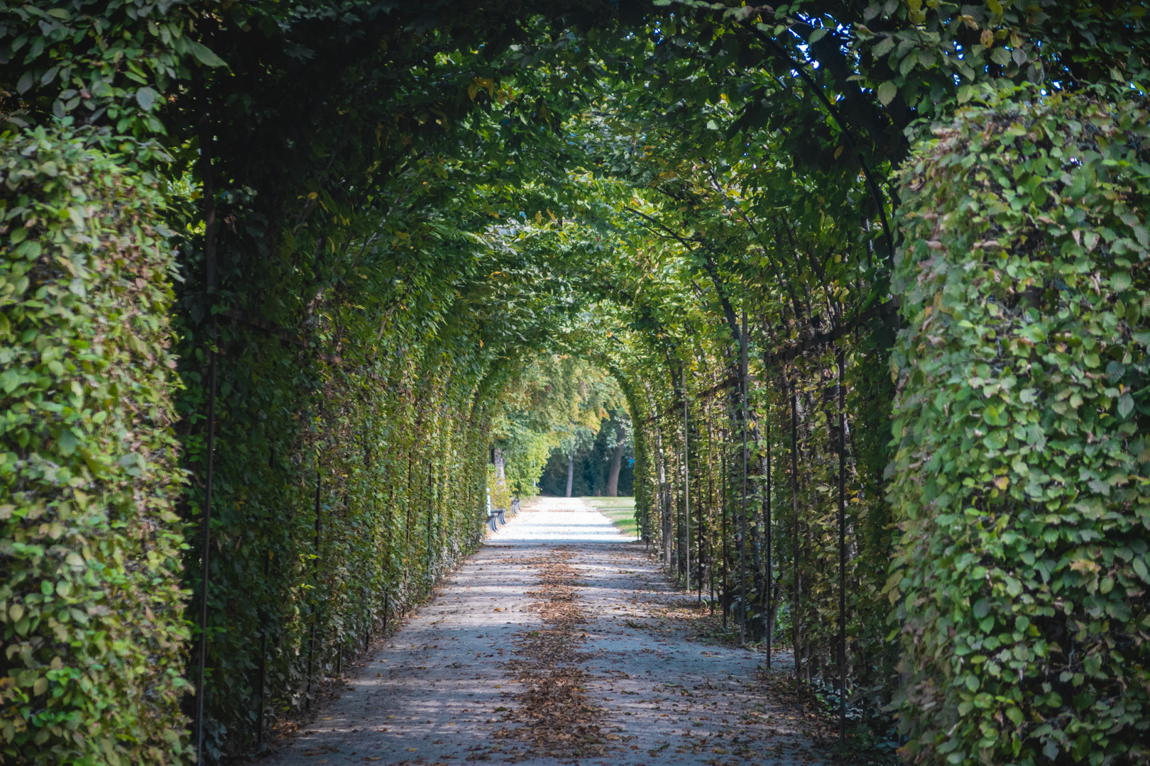 Into the Realm of Fantasies