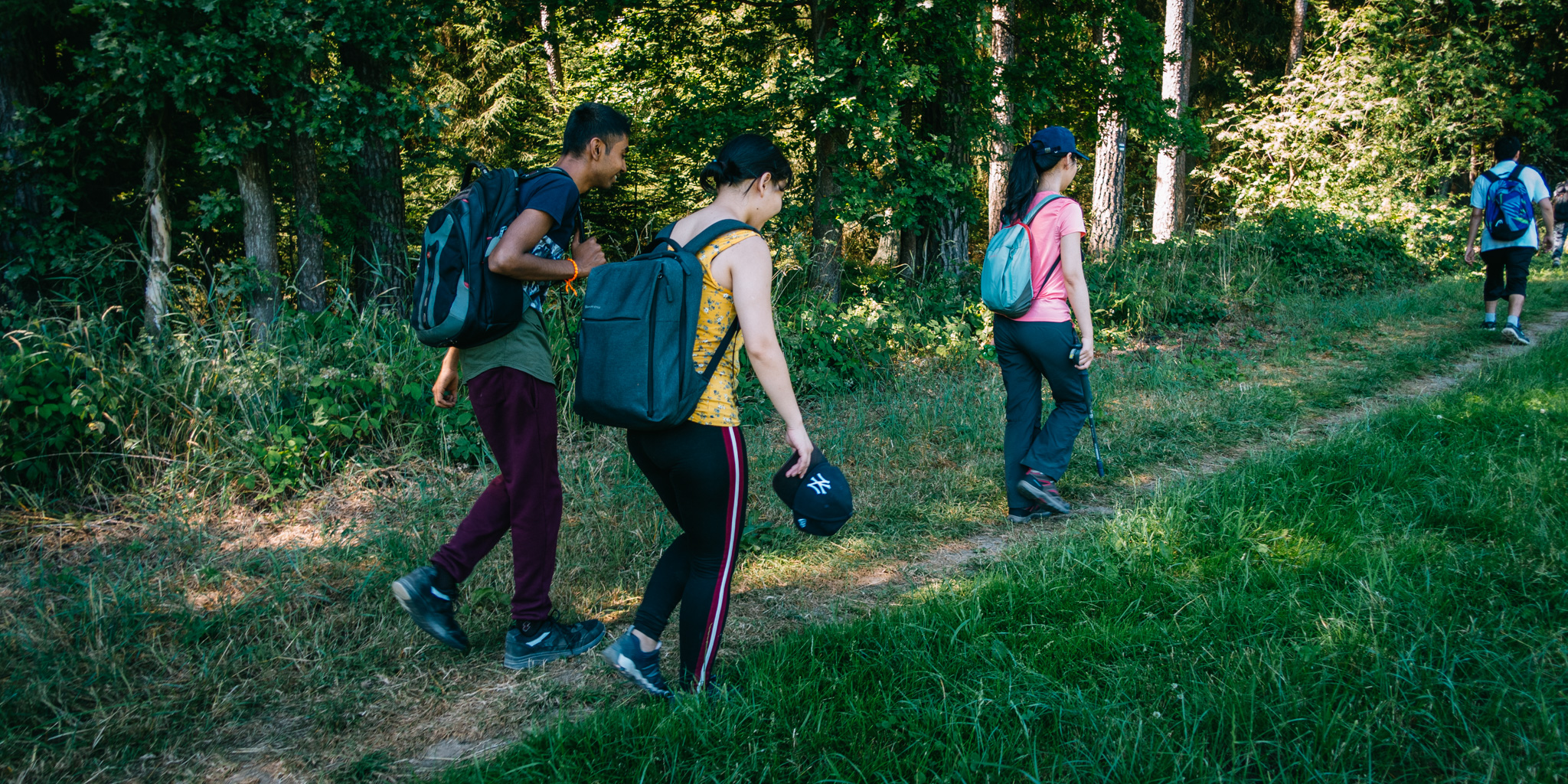 2019-06-30 Blueberry forest-0023