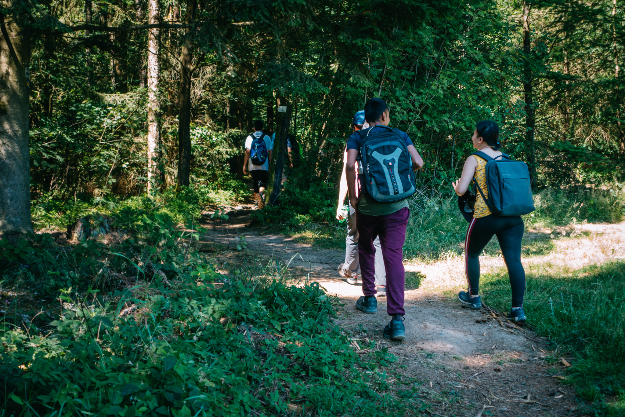 2019-06-30 Blueberry forest-0028