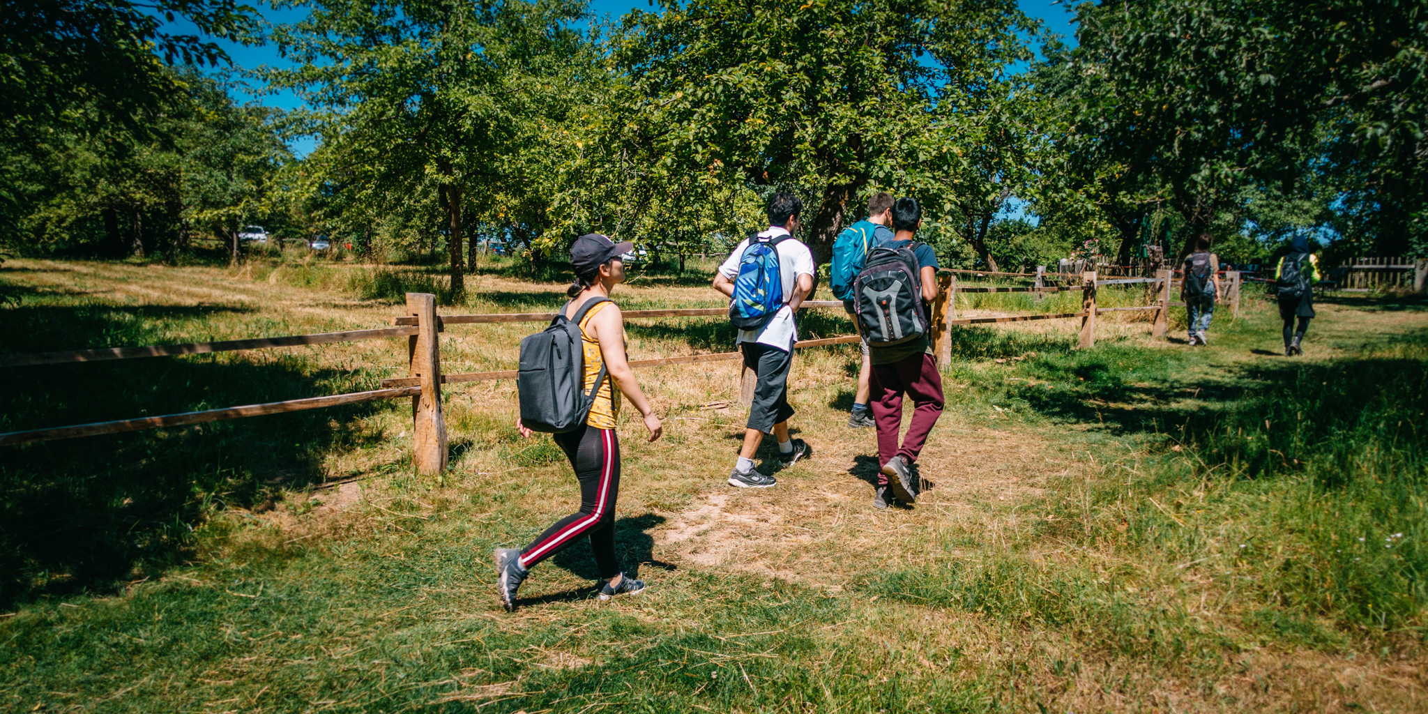2019-06-30 Blueberry forest-0031