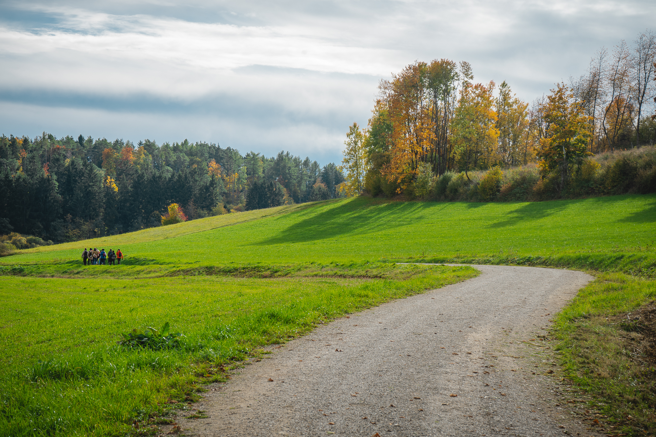 2025-10-19 Kleiner Kulm Autumn-03415