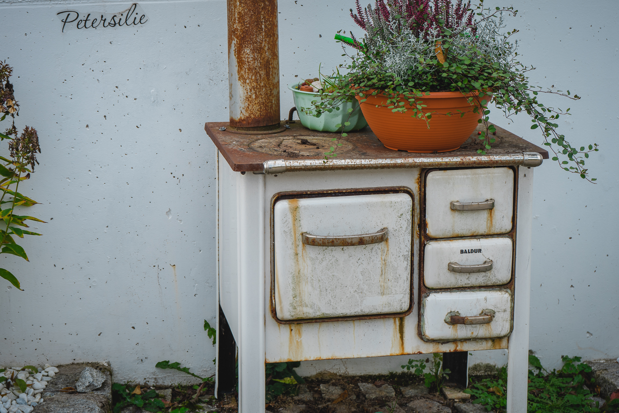 2025-10-19 Kleiner Kulm Autumn-03399