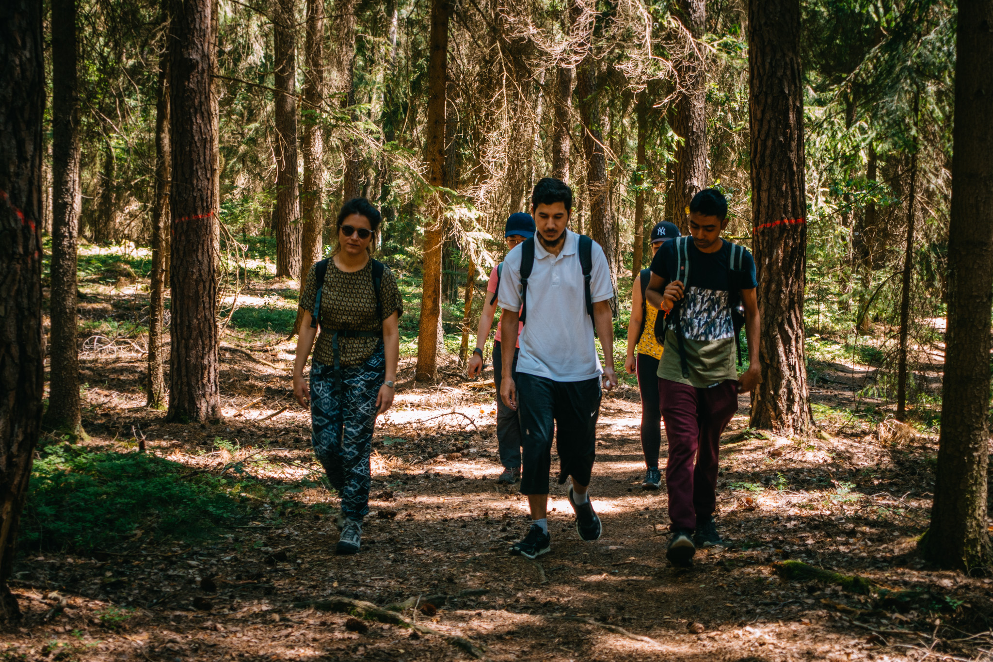 2019-06-30 Blueberry forest-0039