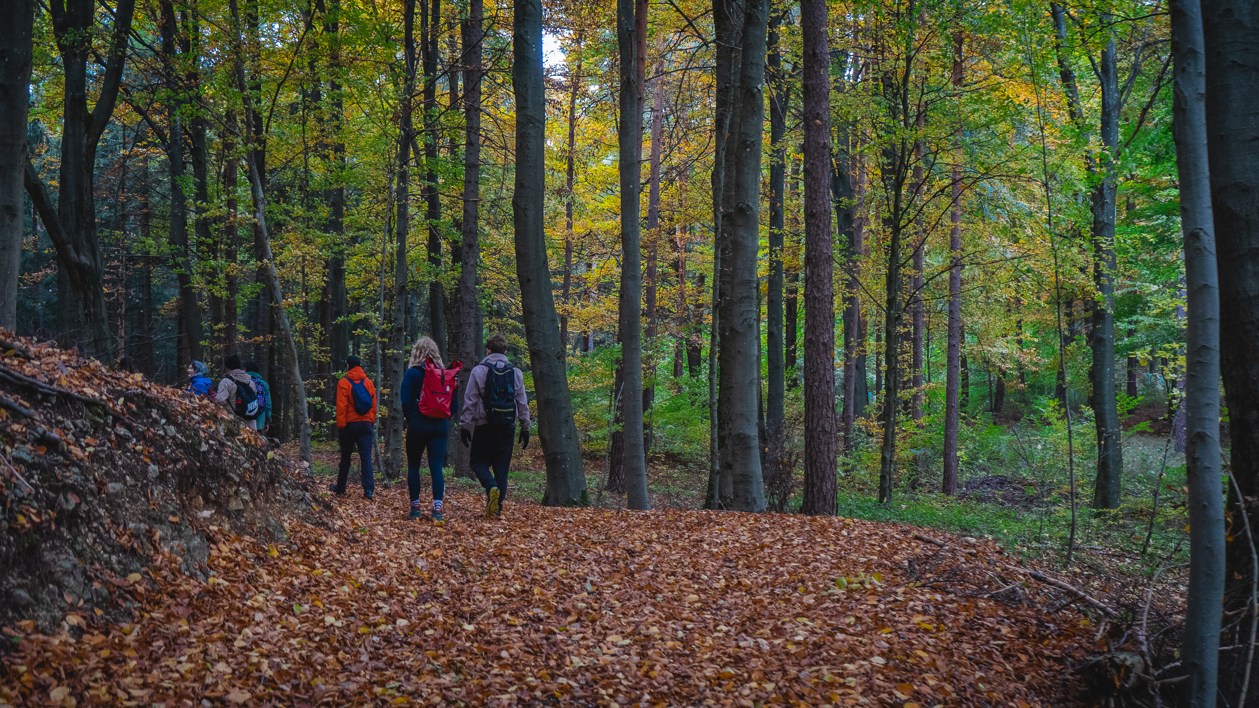 2025-10-19 Kleiner Kulm Autumn-03215