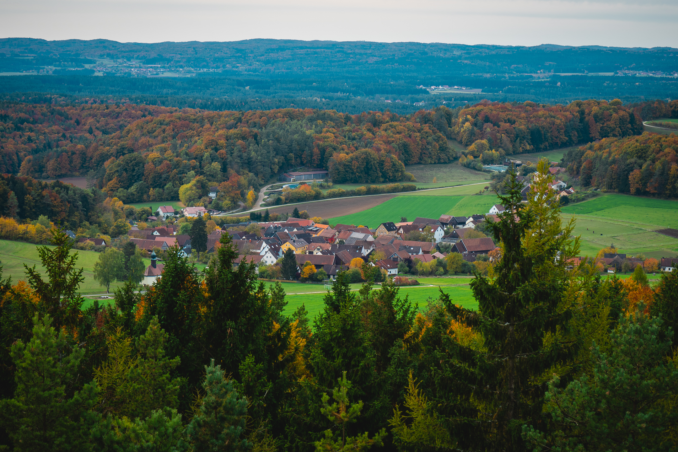 2025-10-19 Kleiner Kulm Autumn-03252