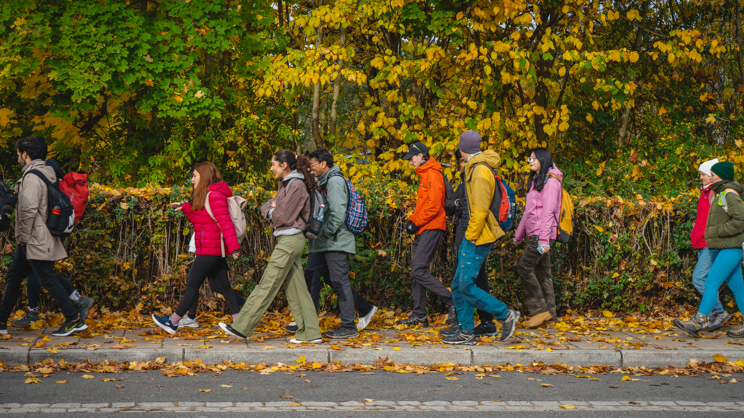 2025-10-19 Kleiner Kulm Autumn-03090