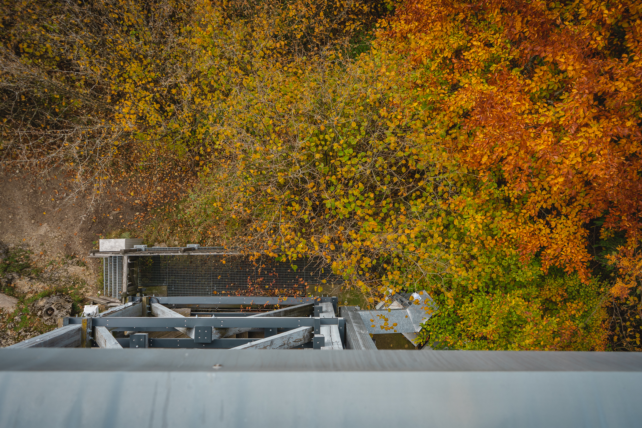 2025-10-19 Kleiner Kulm Autumn-03254