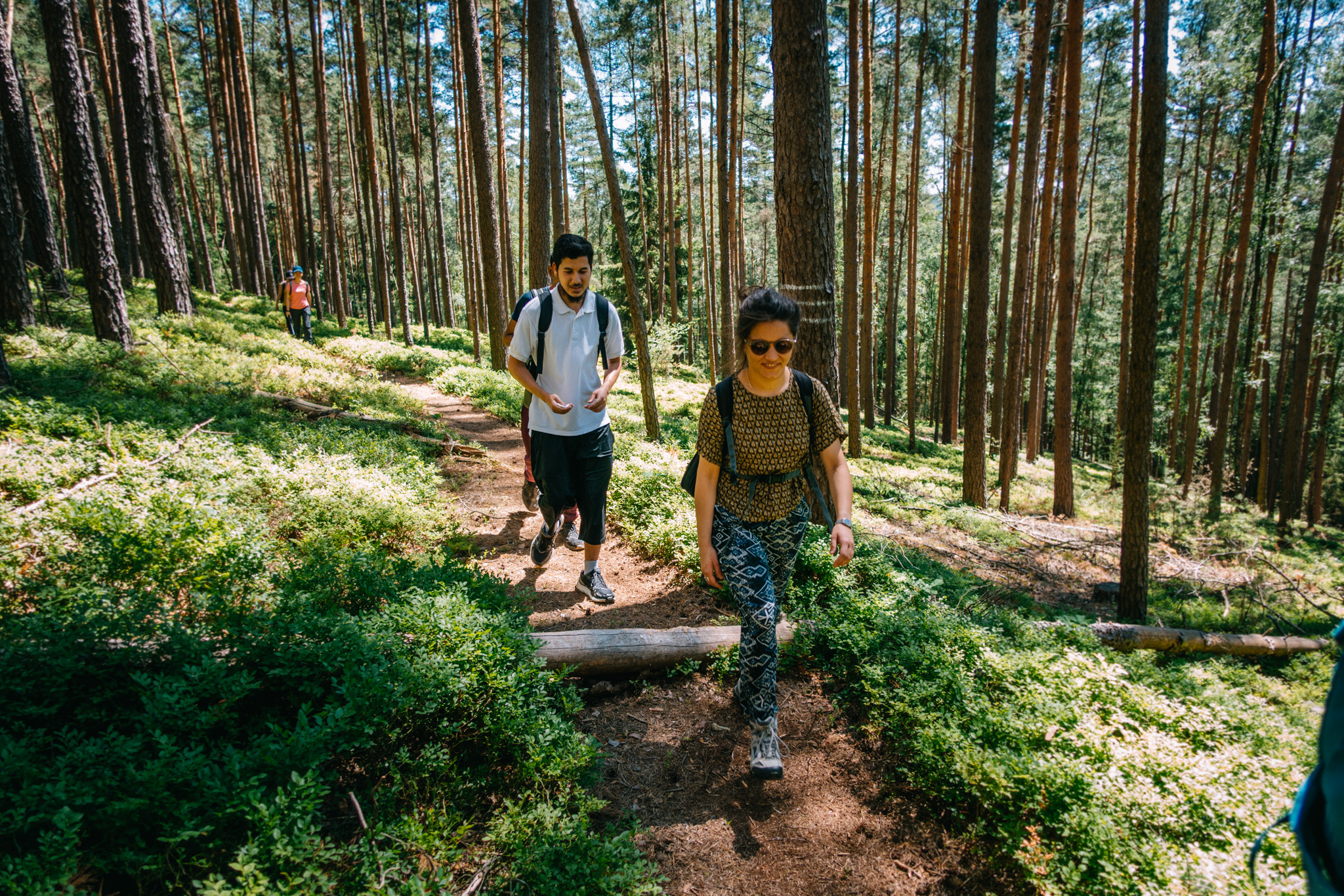 2019-06-30 Blueberry forest-0041