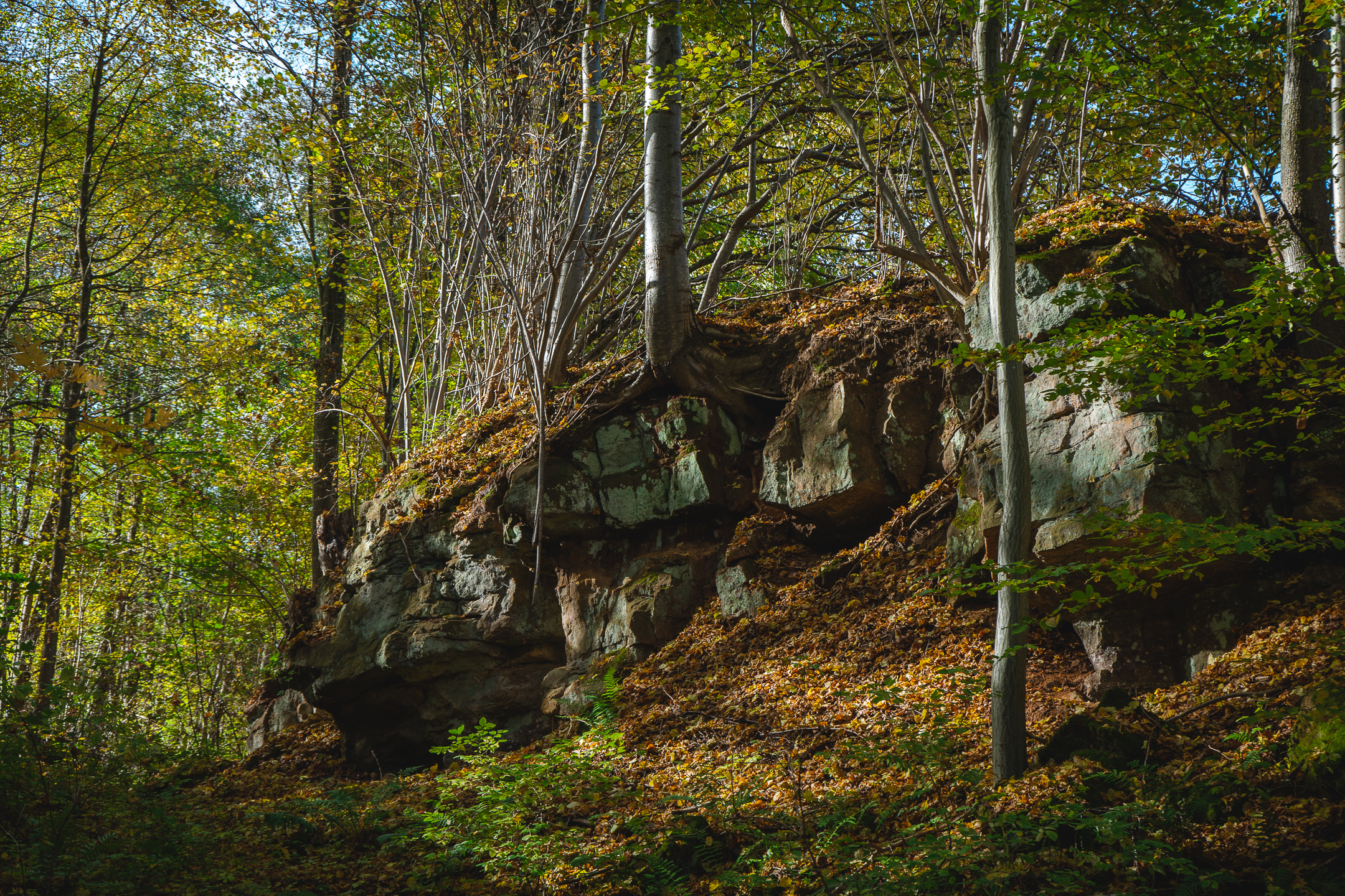 2025-10-19 Kleiner Kulm Autumn-03350