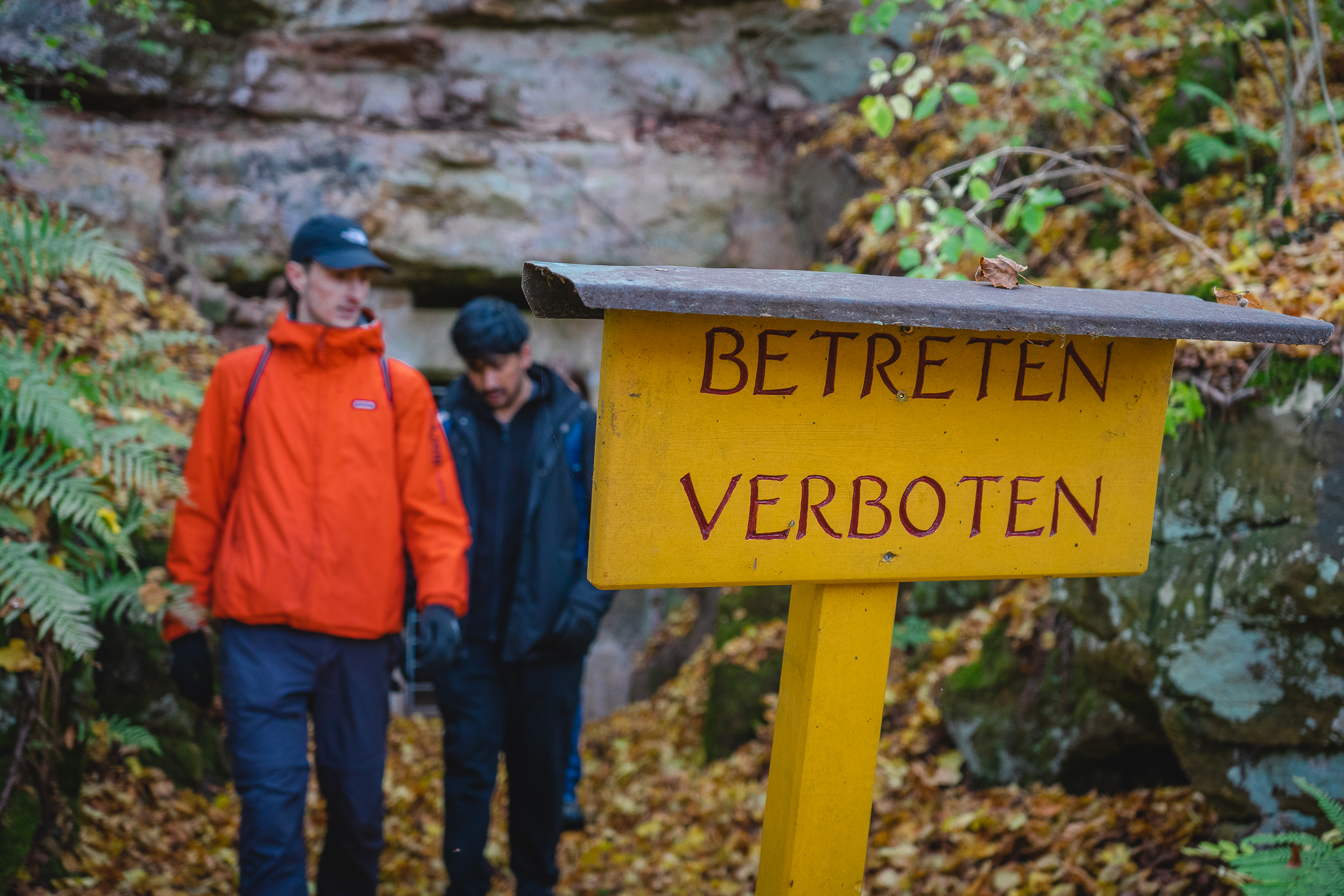 2025-10-19 Kleiner Kulm Autumn-03346
