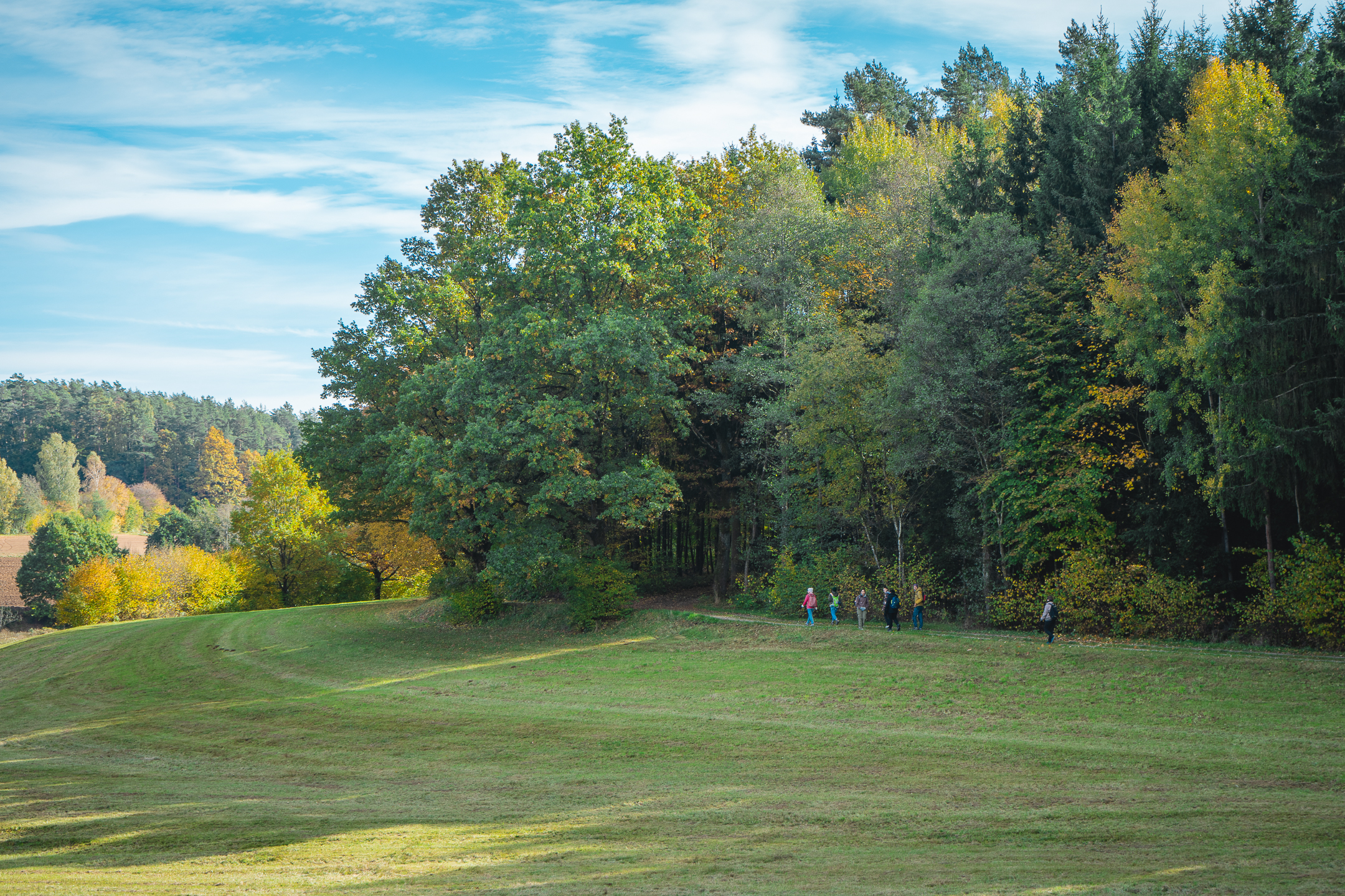 2025-10-19 Kleiner Kulm Autumn-03390
