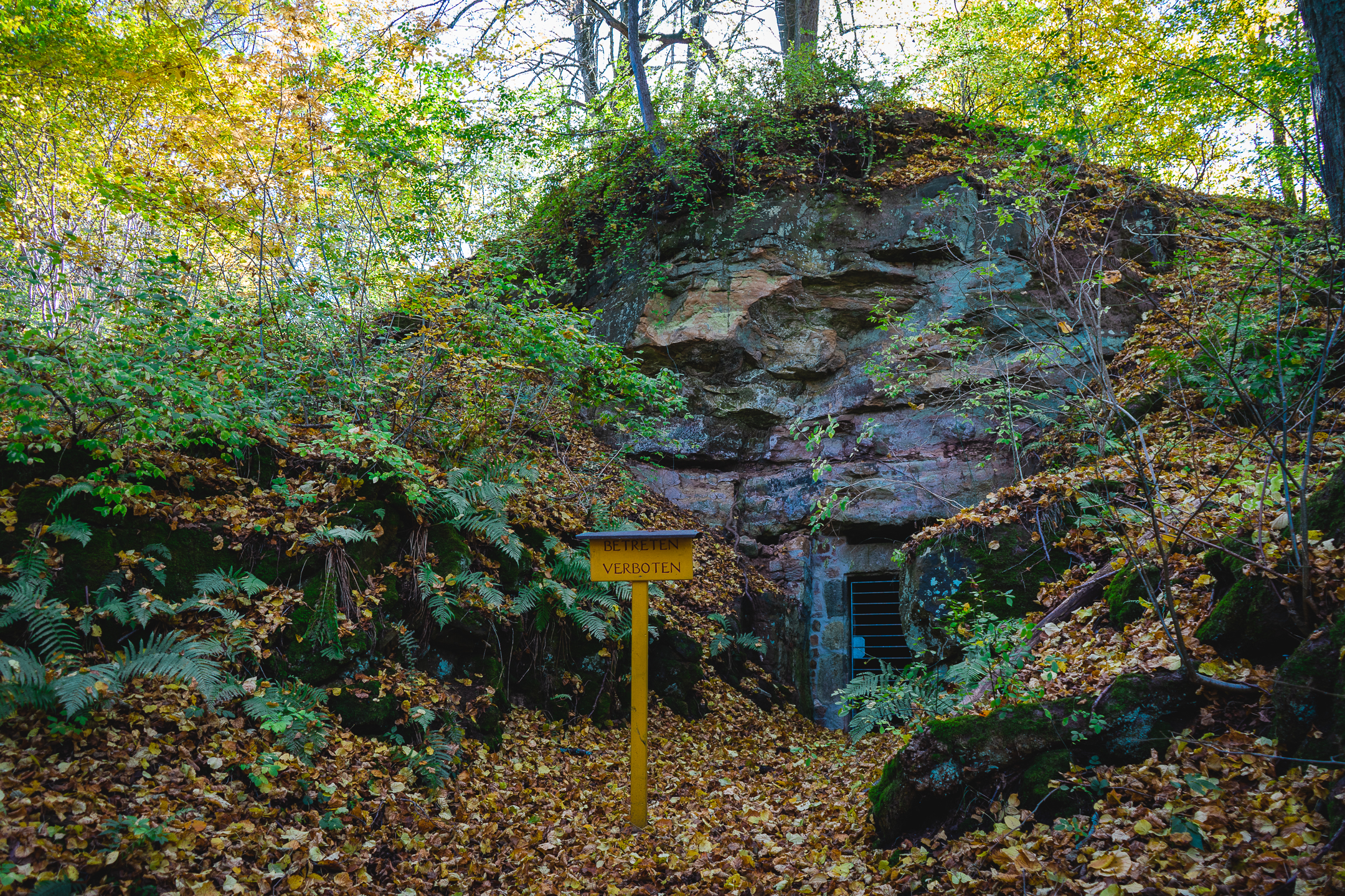 2025-10-19 Kleiner Kulm Autumn-03353