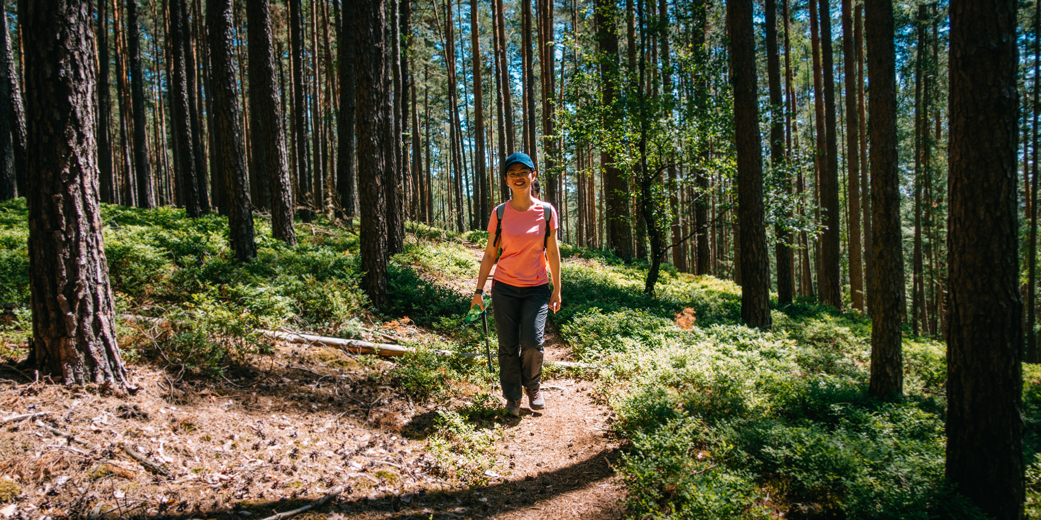 2019-06-30 Blueberry forest-0046