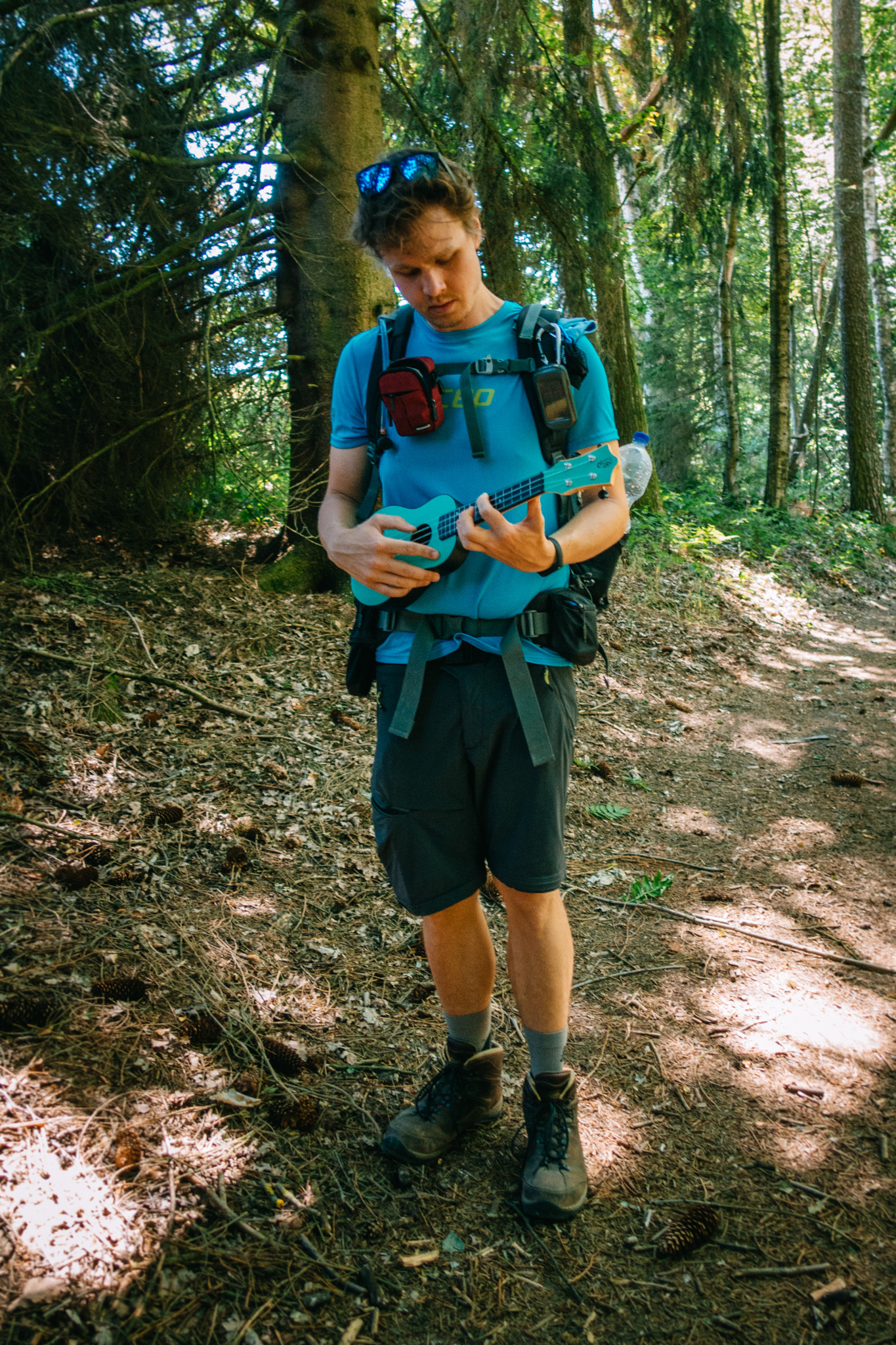 2019-06-30 Blueberry forest-0055