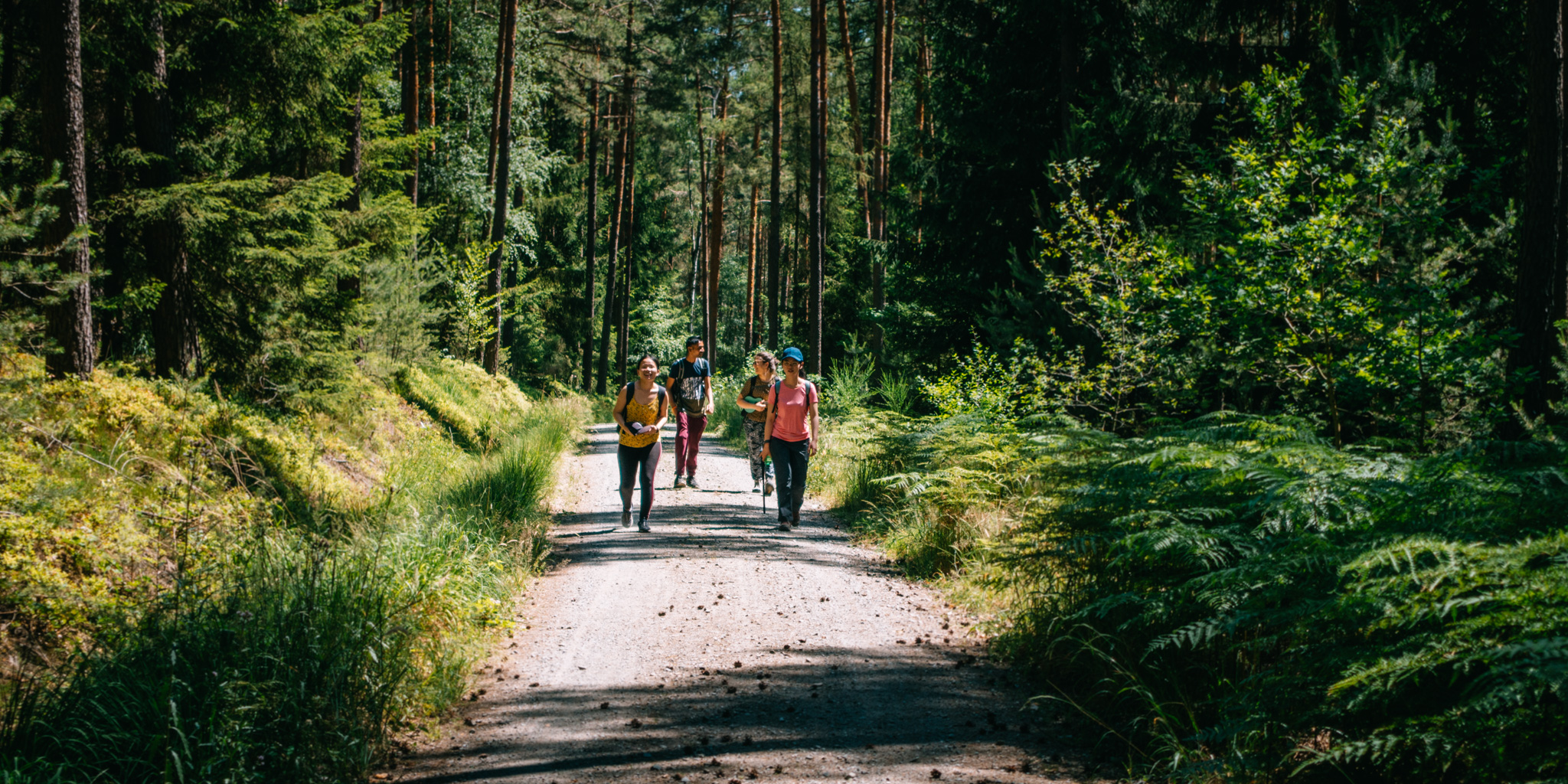 2019-06-30 Blueberry forest-0067