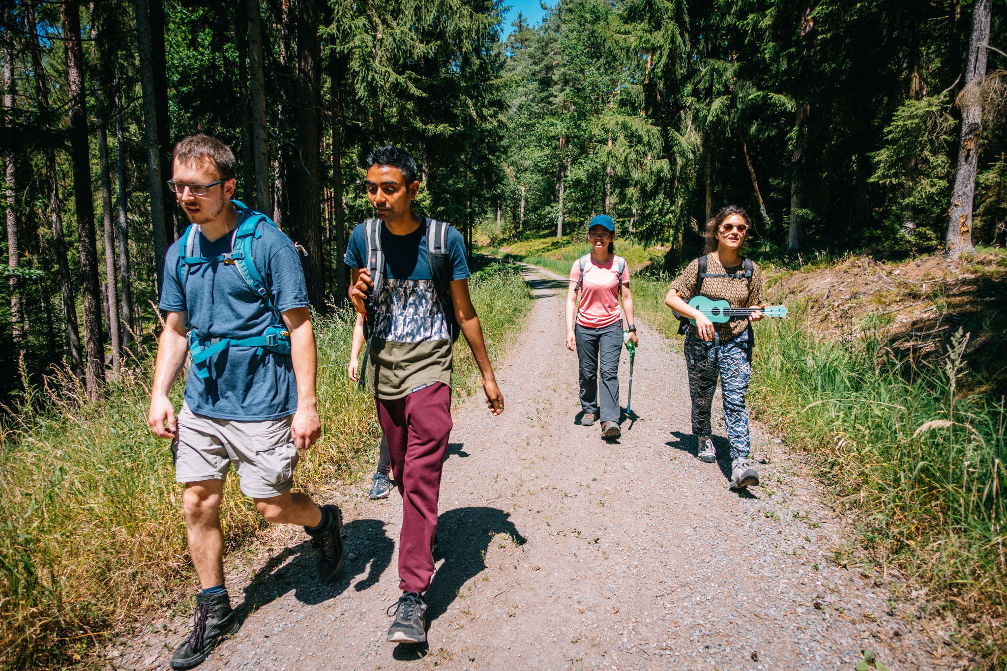 2019-06-30 Blueberry forest-0079