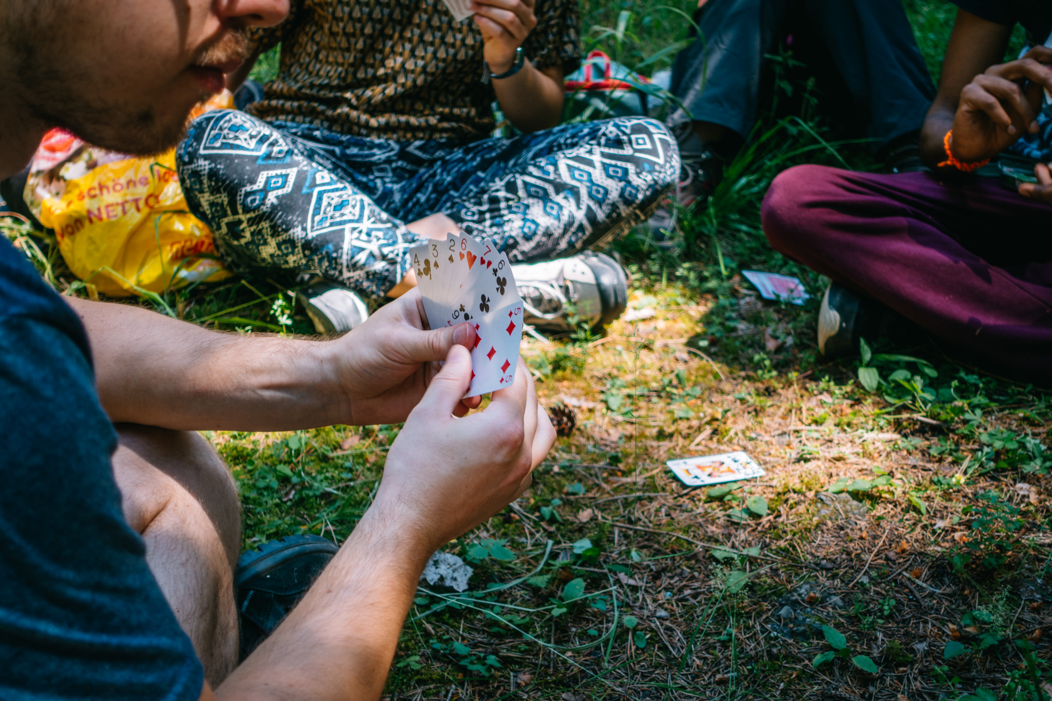 2019-06-30 Blueberry forest-0088