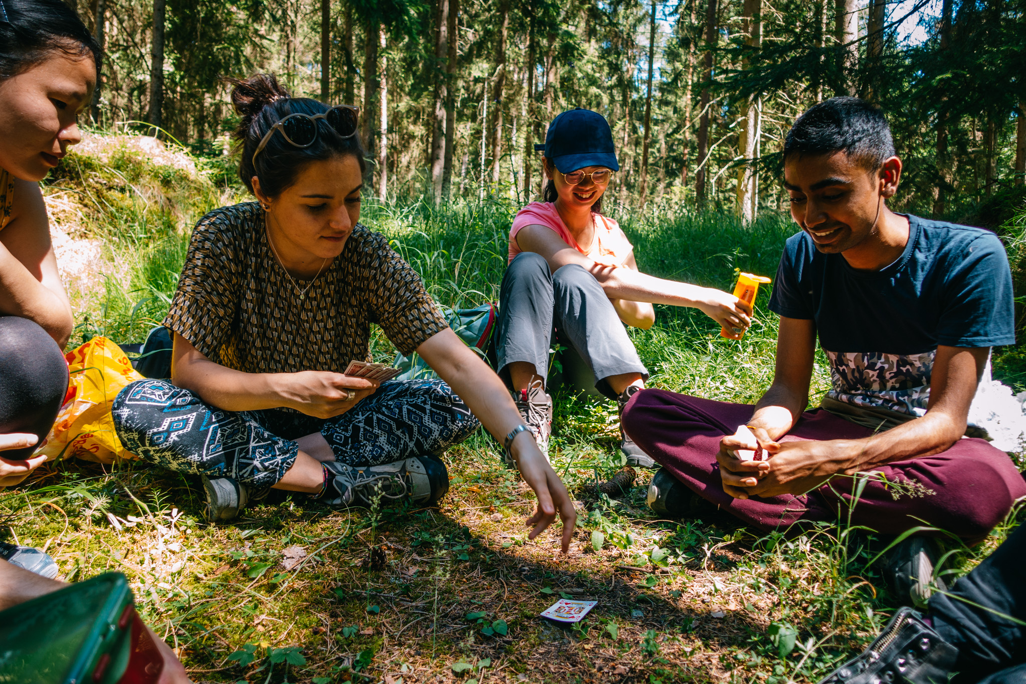 2019-06-30 Blueberry forest-0104