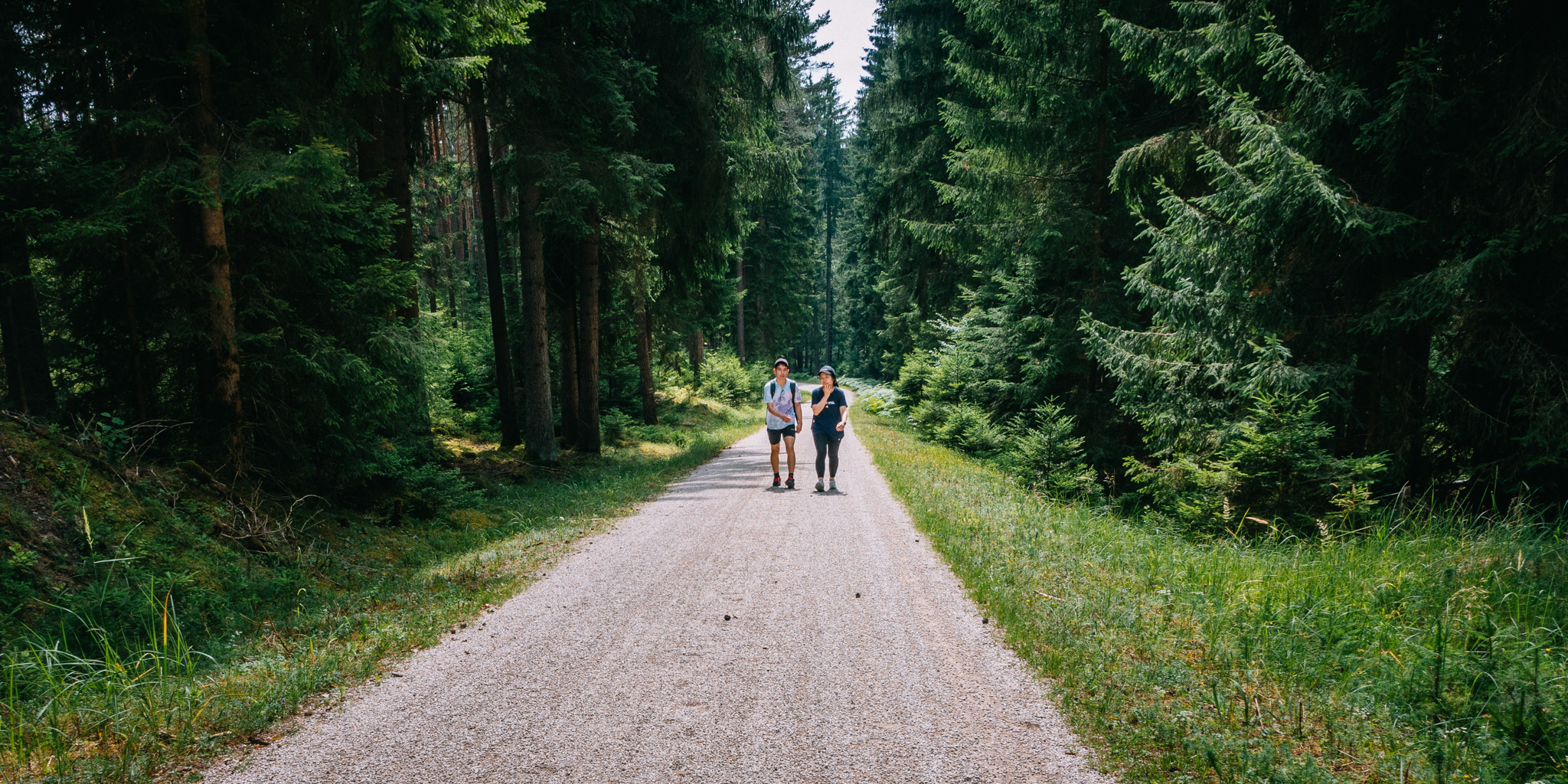 Neuhaus to Pegnitz