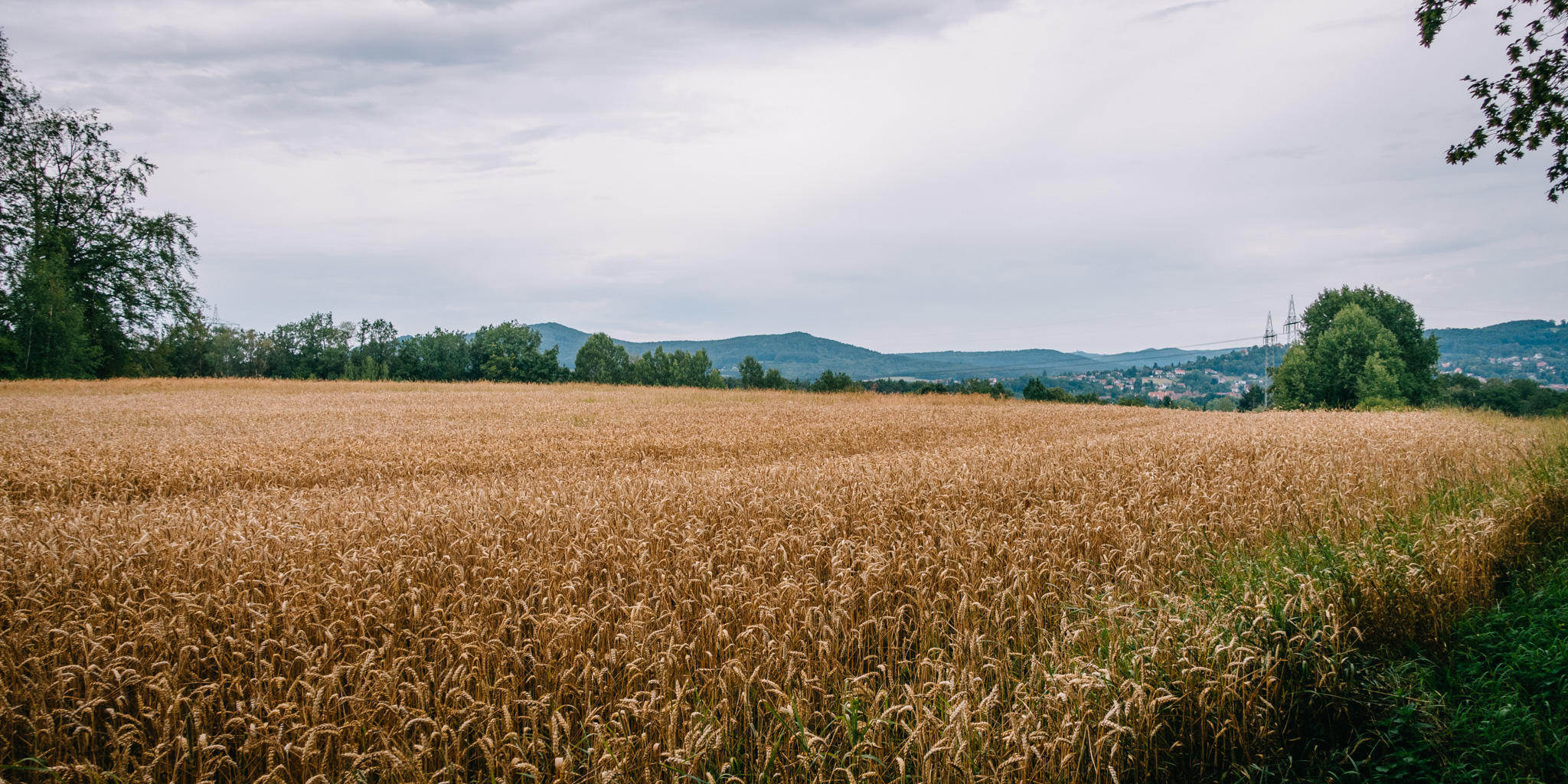 2019-07-27 Hersbruck two top basin-0005