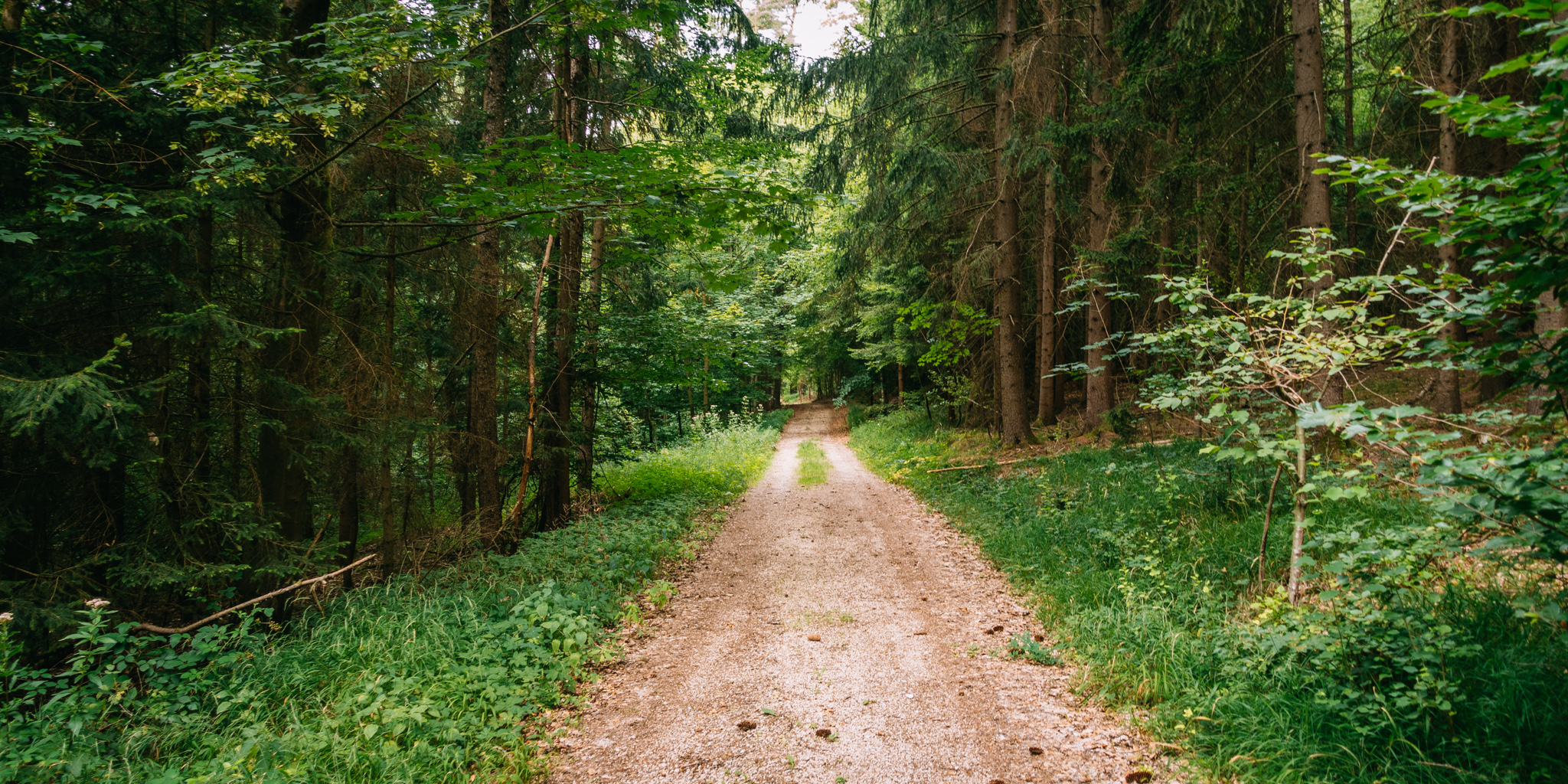 2019-07-27 Hersbruck two top basin-0033