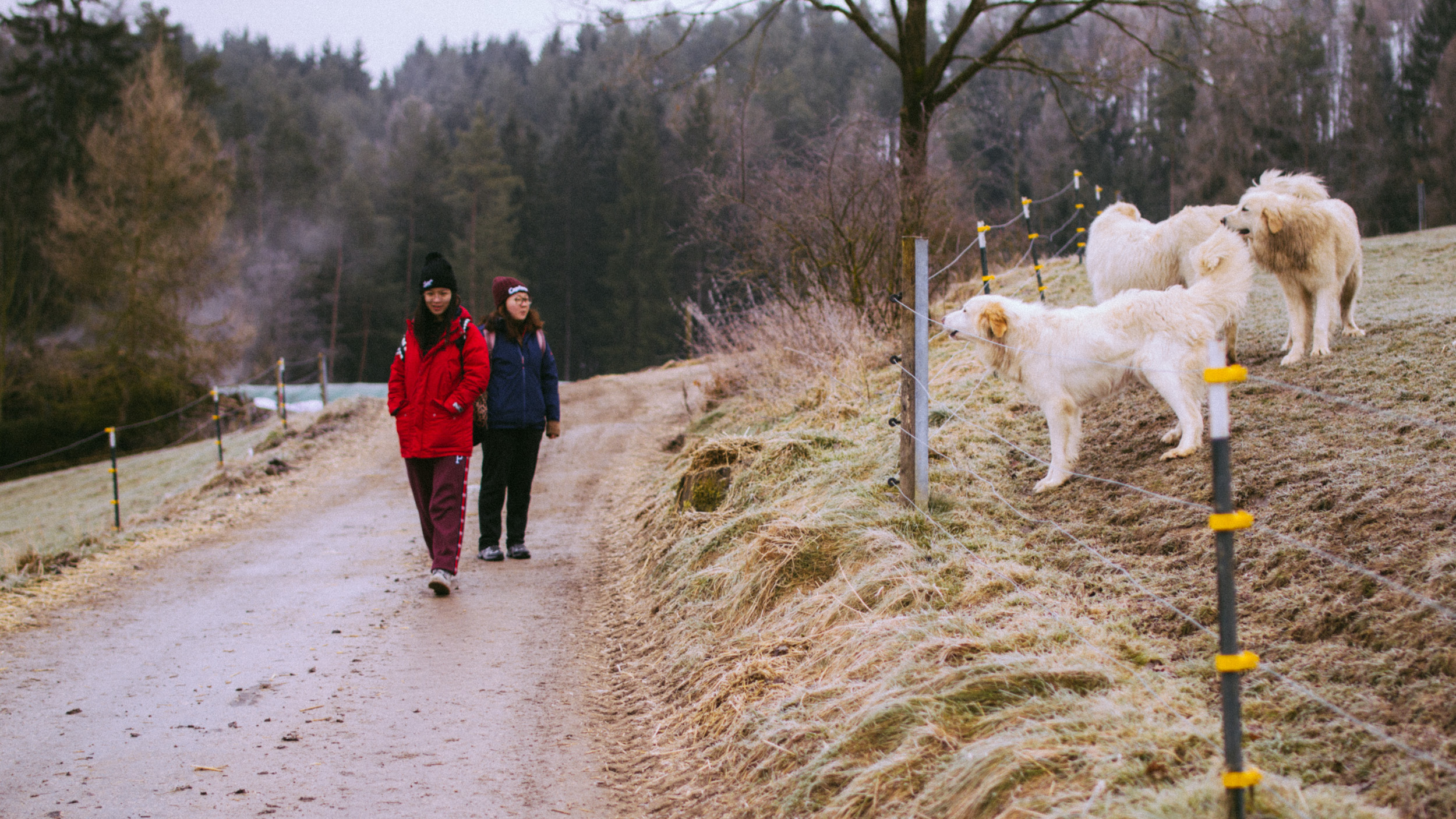 2018-02-17 Plankenfels 3773