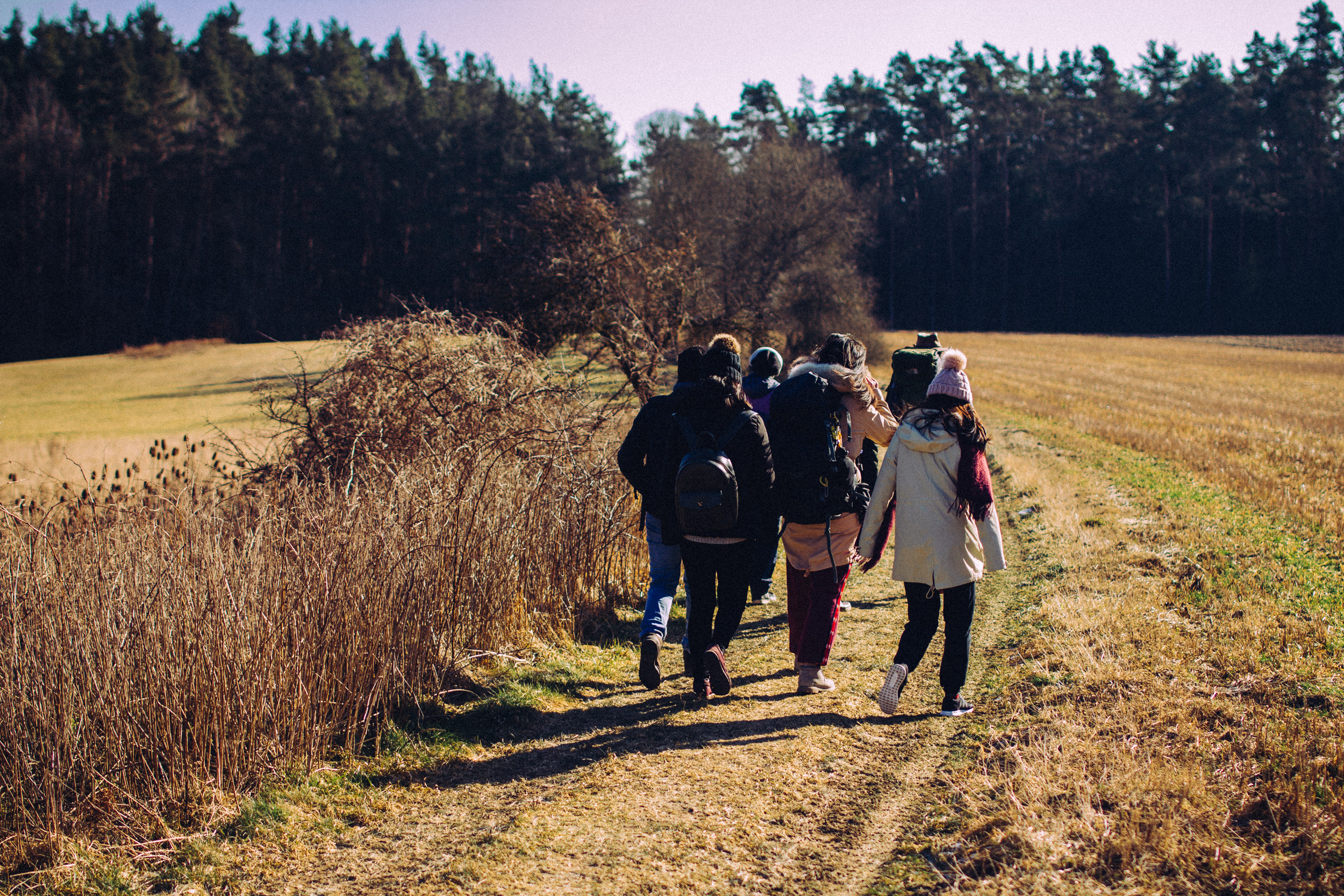 2018-02-25 Neuhaus a-d Pegnitz 3912