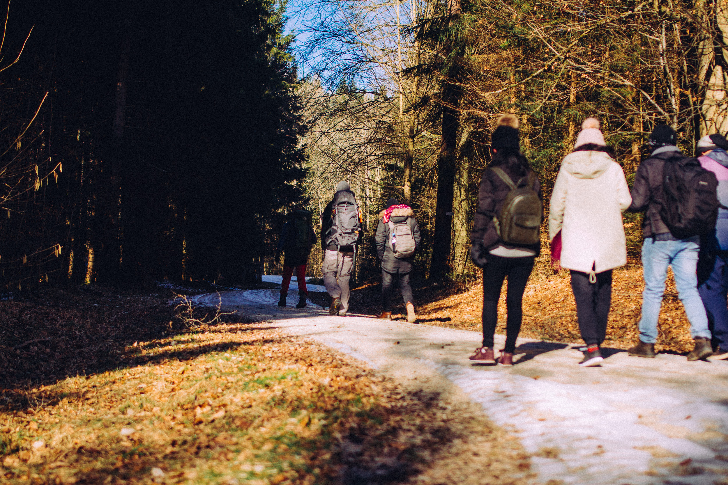 2018-02-25 Neuhaus a-d Pegnitz 4091