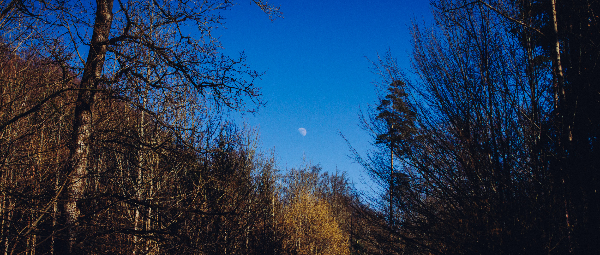 2018-02-25 Neuhaus a-d Pegnitz 4123