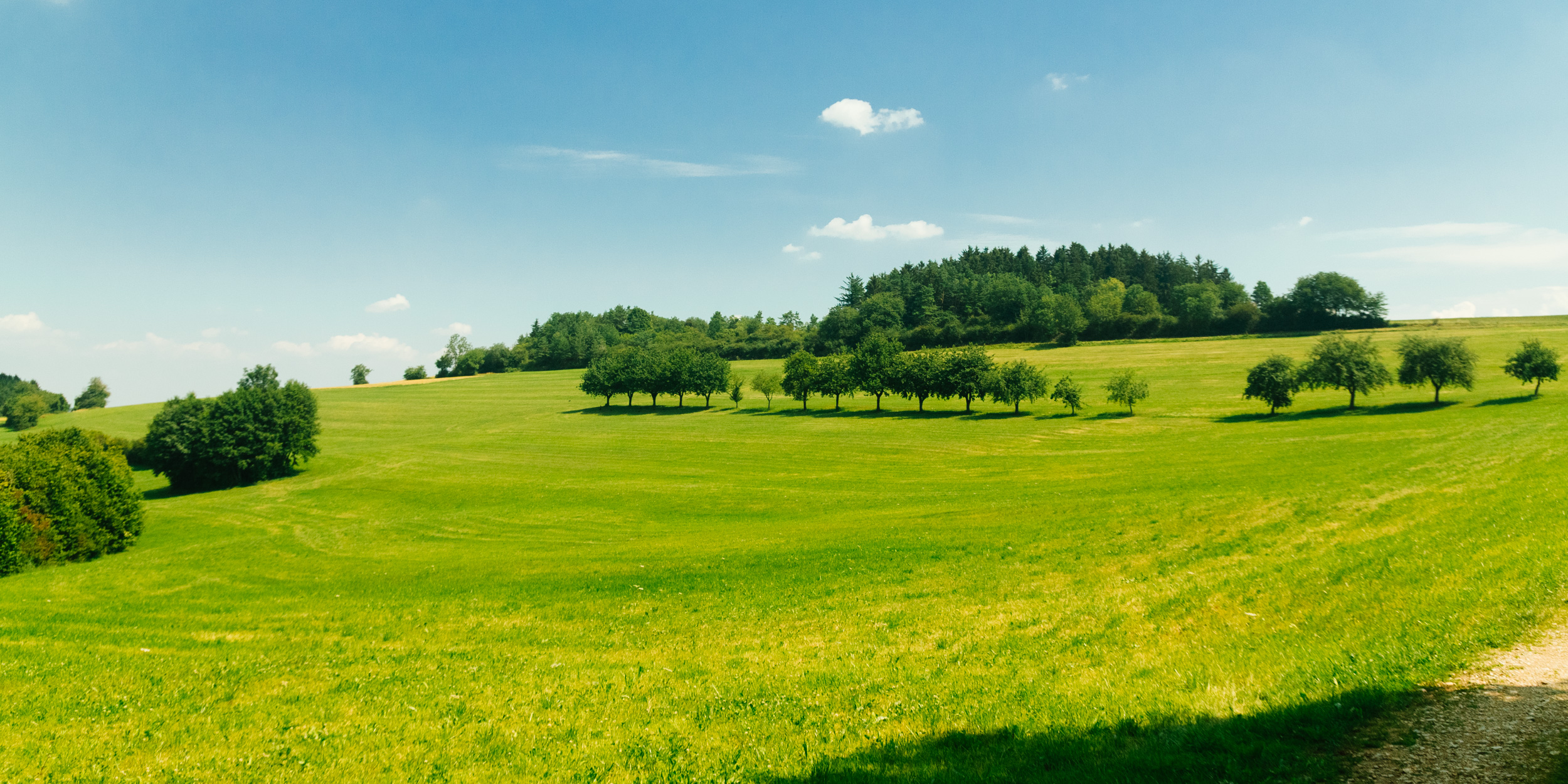 2018-07-14 Pegnitz to Creußen 8727