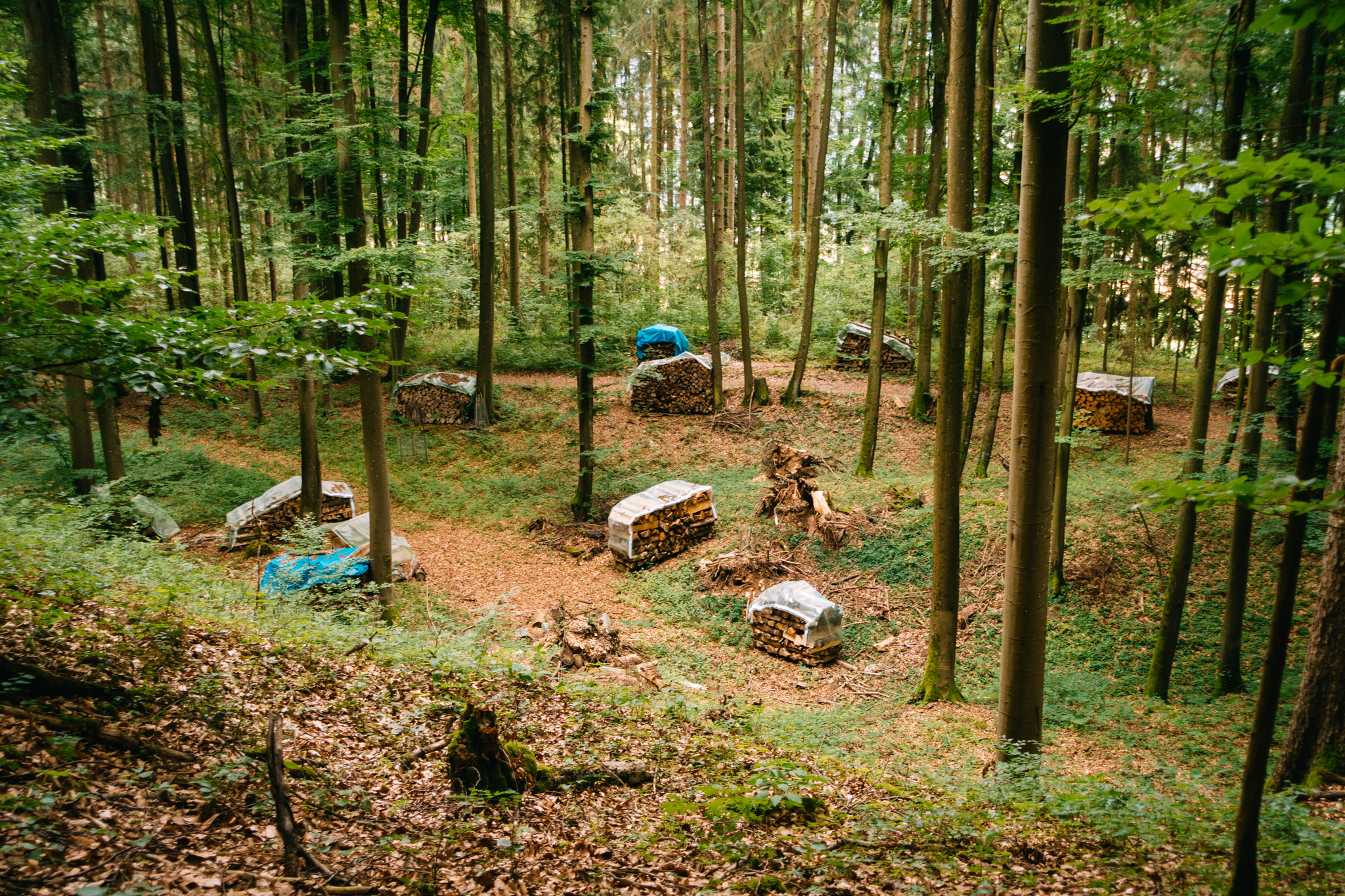 2019-07-27 Hersbruck two top basin-0099