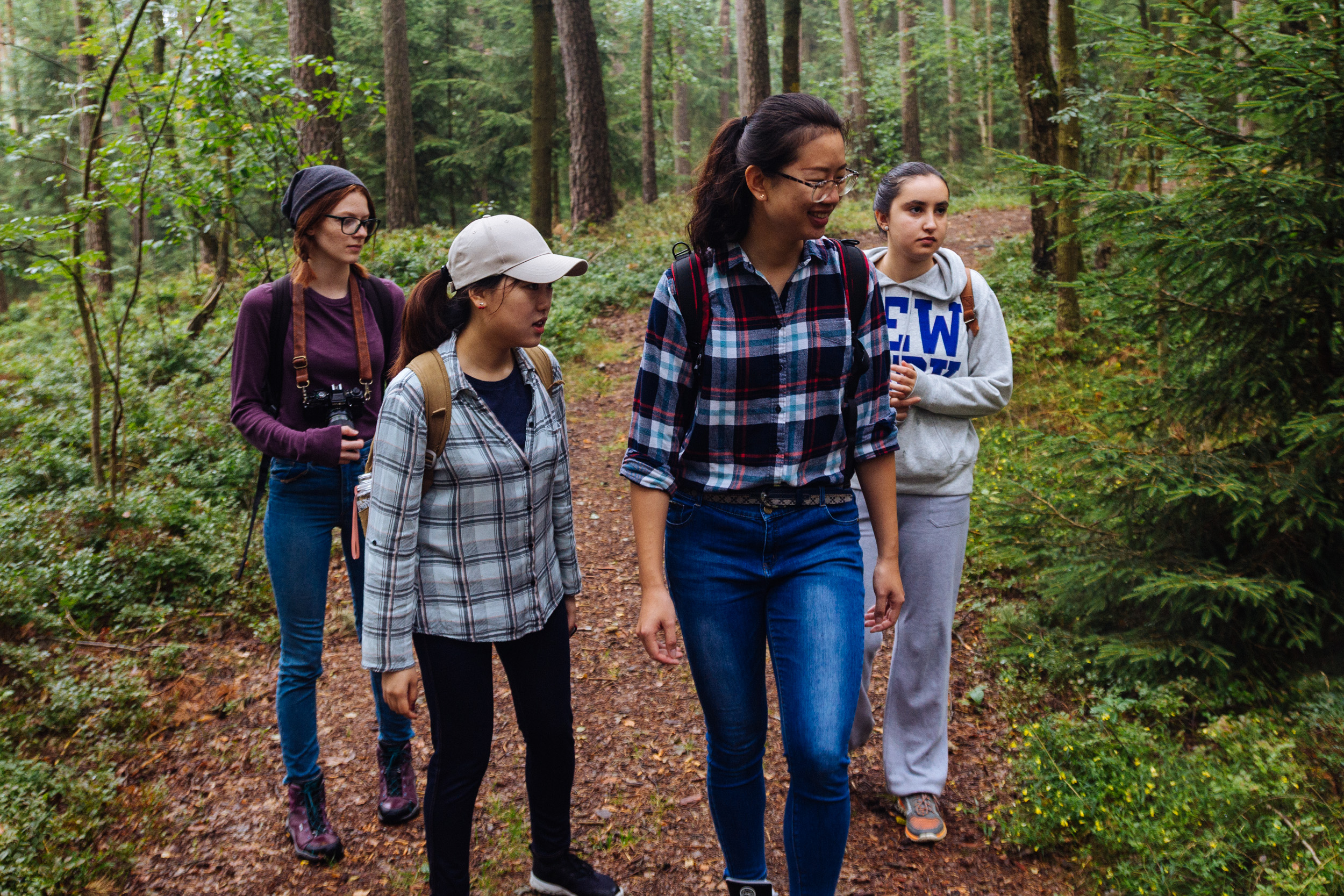 2018-07-22 Heinersreuther Forest 8762