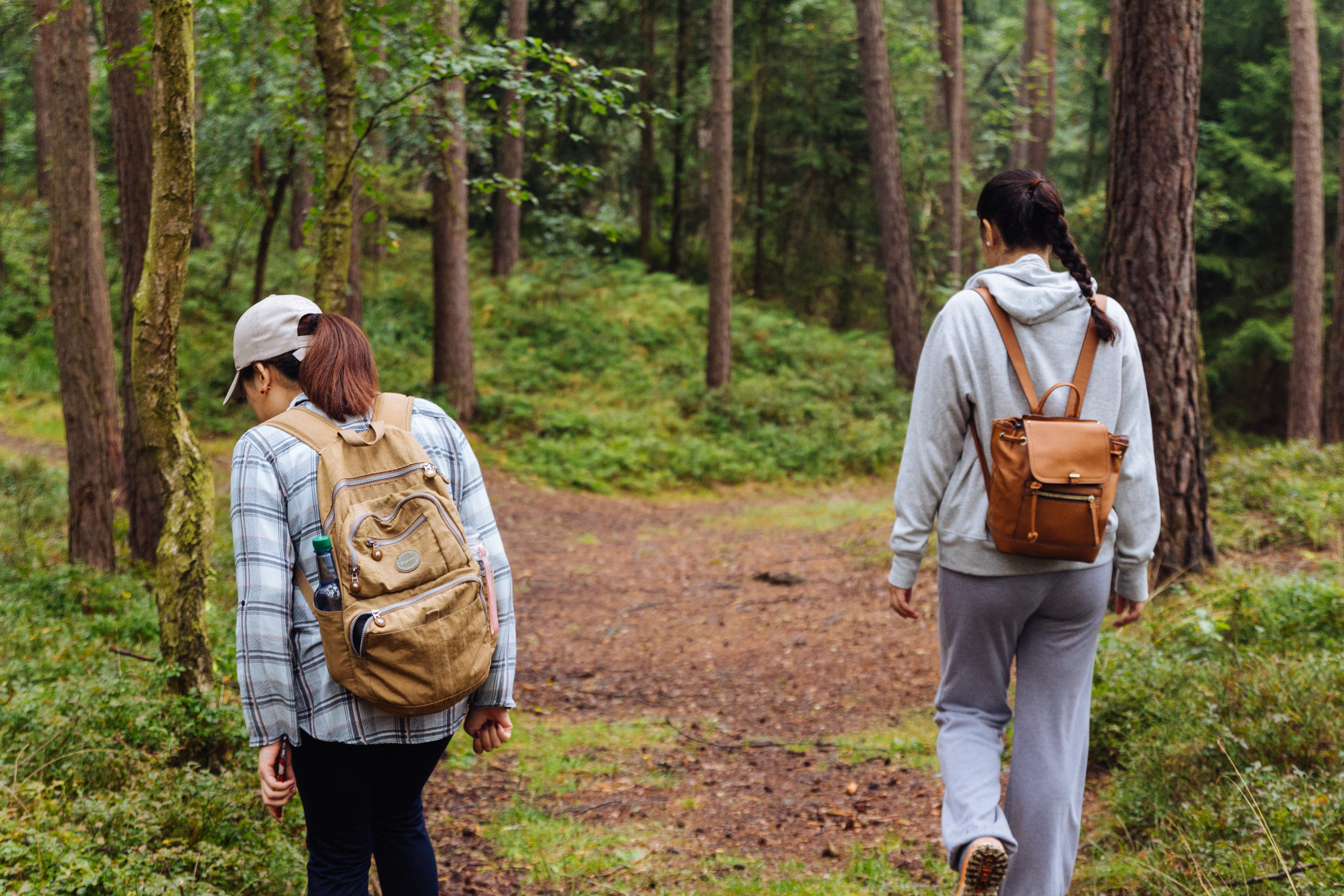 2018-07-22 Heinersreuther Forest 8763