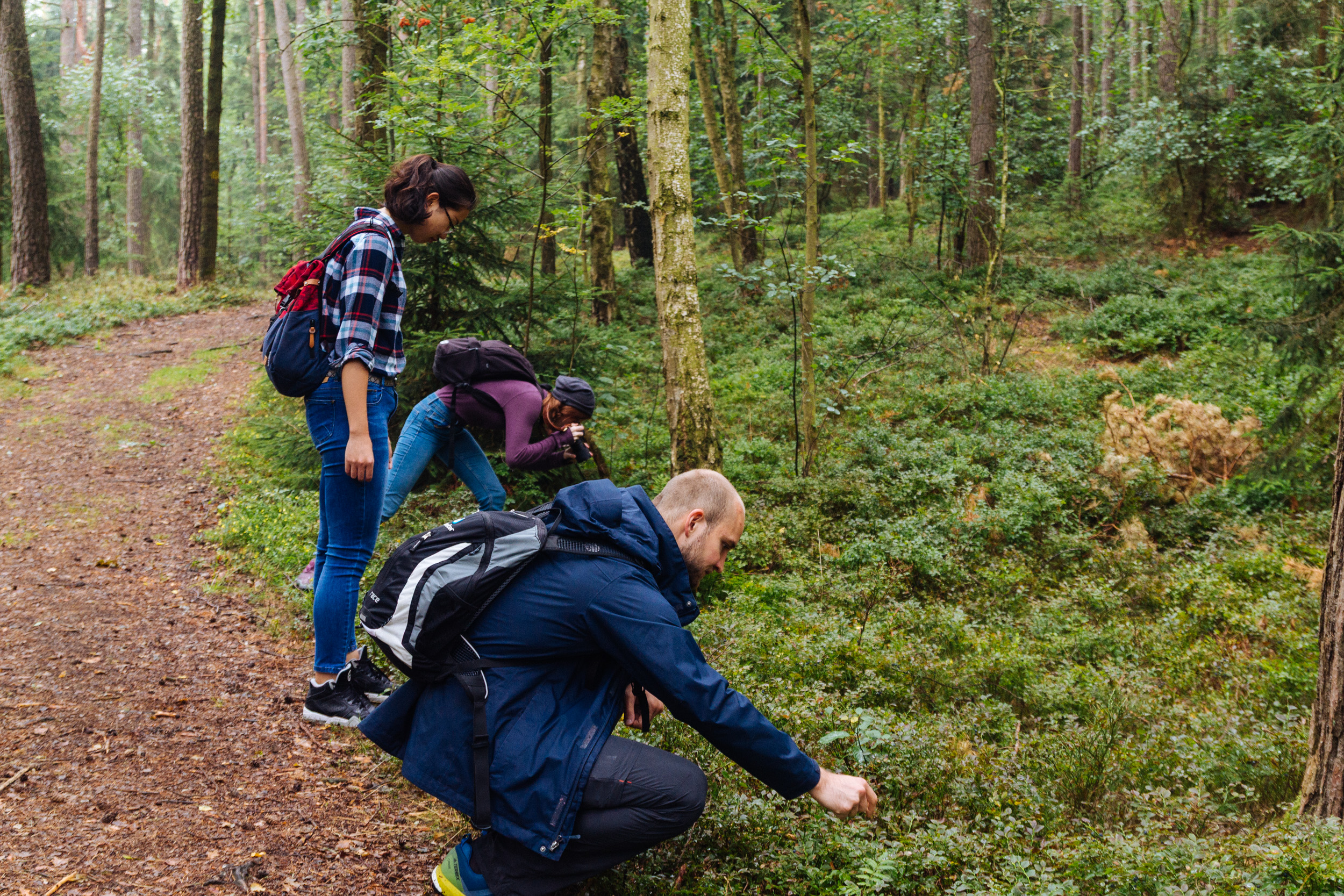 2018-07-22 Heinersreuther Forest 8764