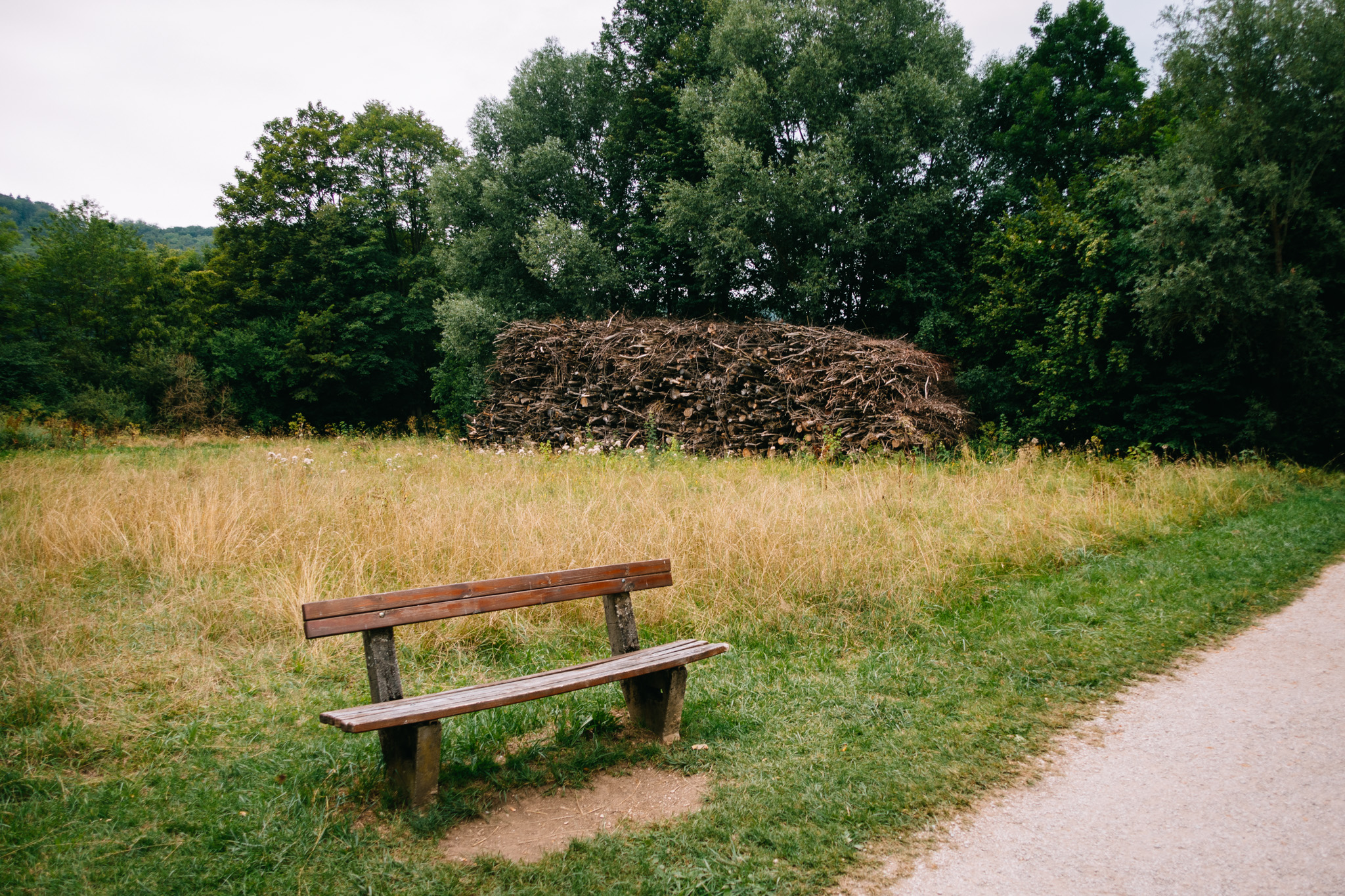 2019-07-27 Hersbruck two top basin-0105