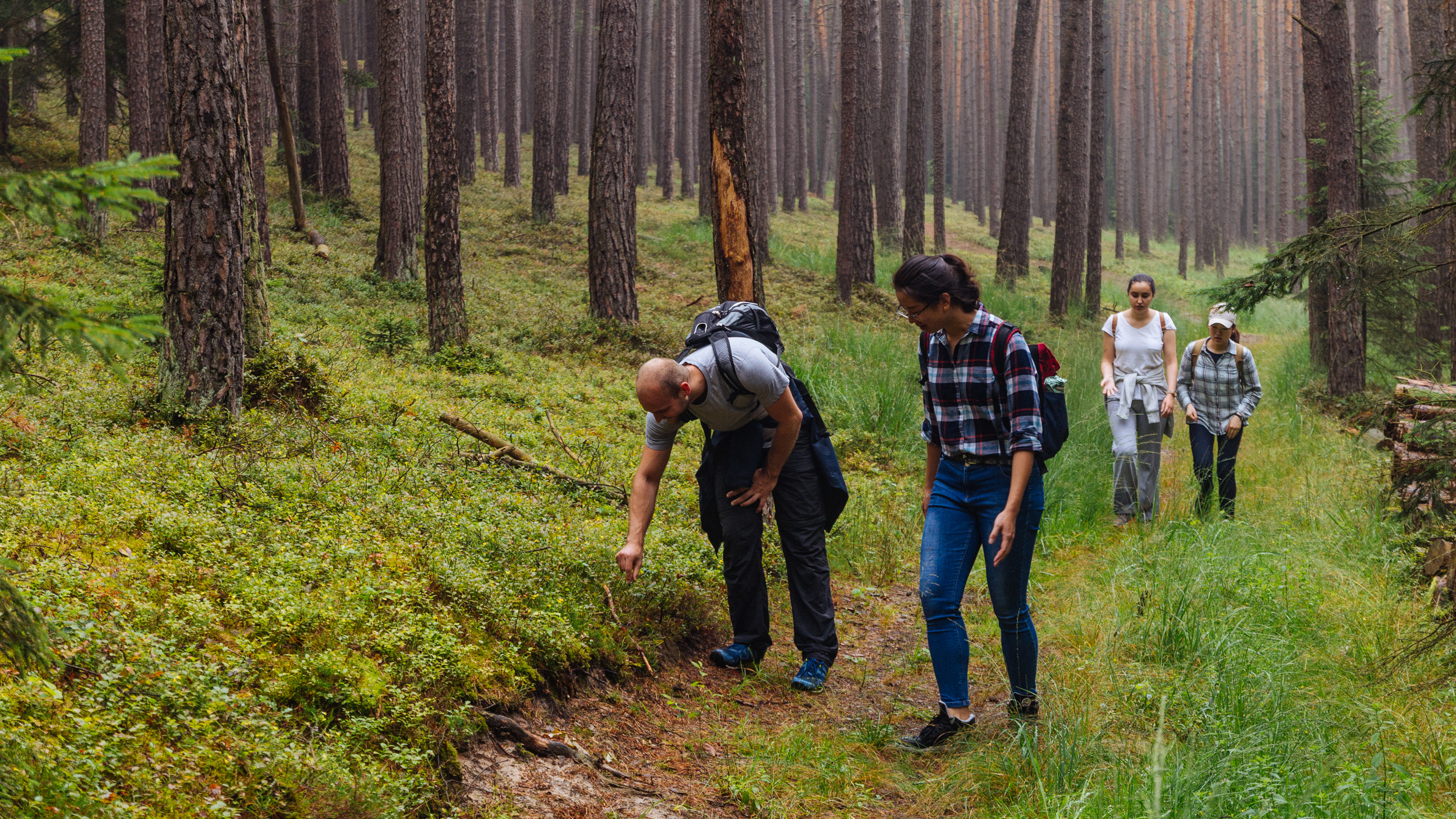 2018-07-22 Heinersreuther Forest 8781