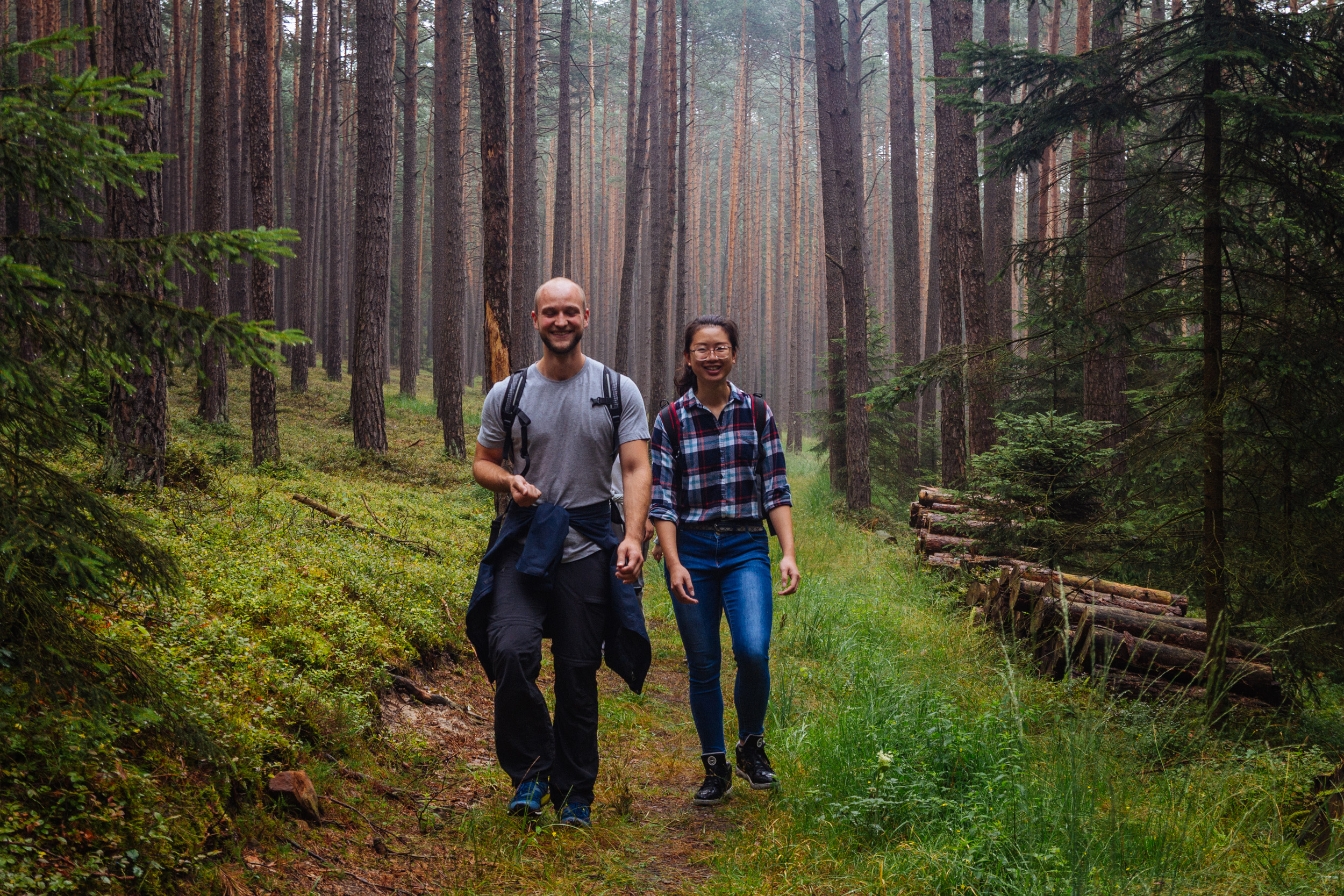 2018-07-22 Heinersreuther Forest 8782