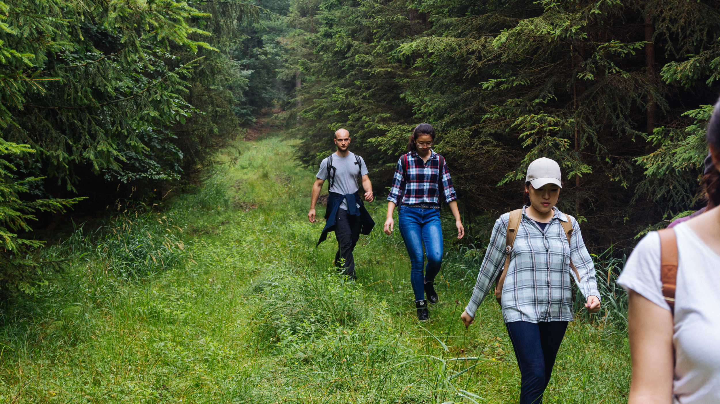 2018-07-22 Heinersreuther Forest 8790