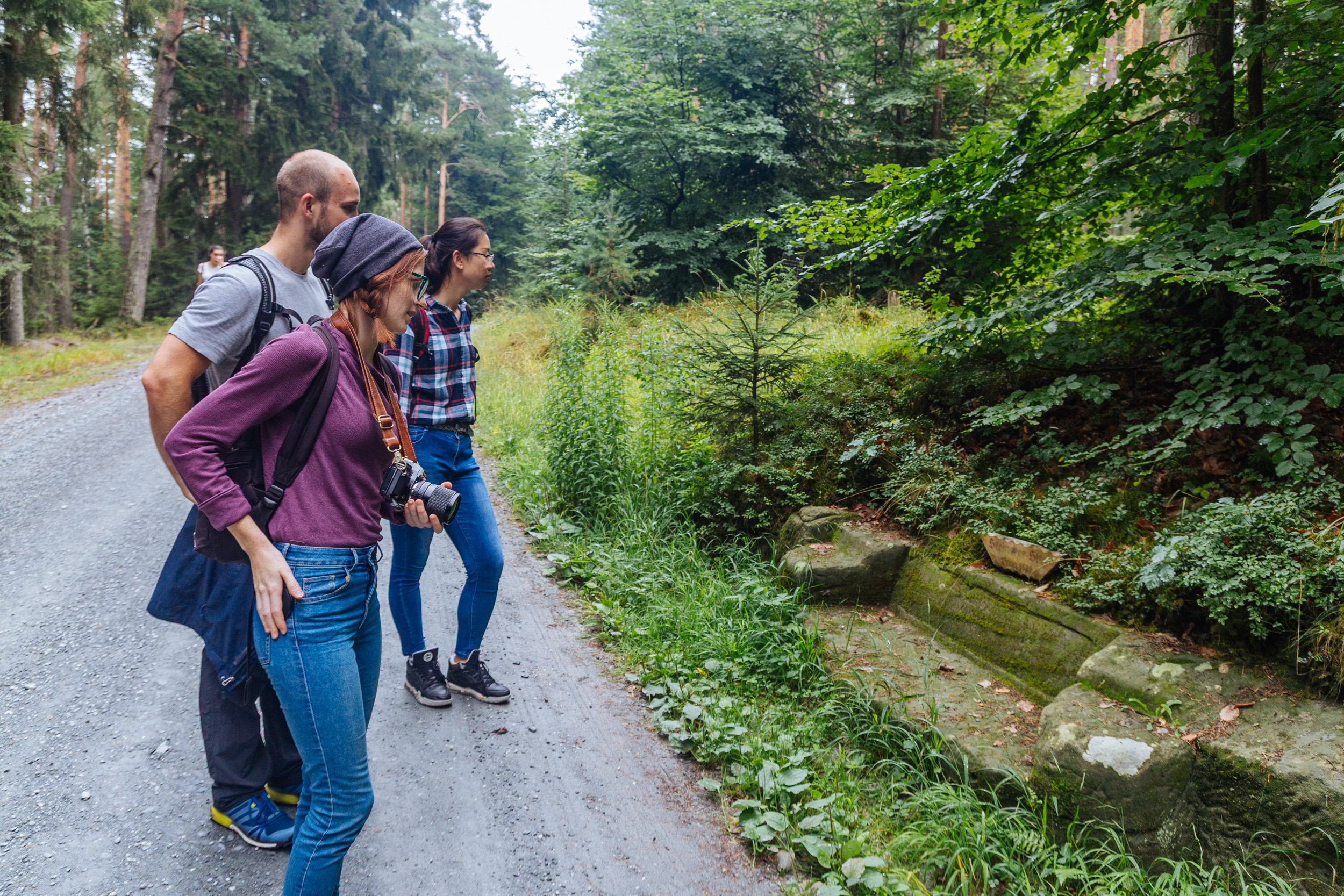 2018-07-22 Heinersreuther Forest 8797