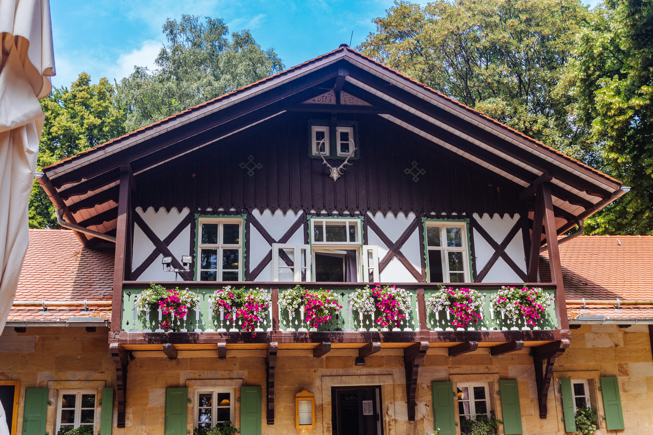 2018-07-22 Heinersreuther Forest 8804